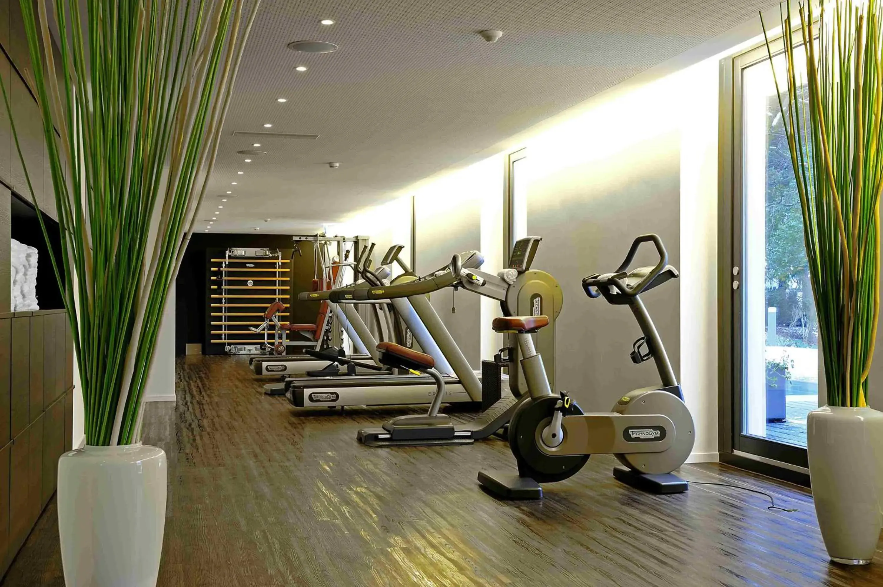 Fitness centre/facilities, Fitness Center/Facilities in Hotel Vitznauerhof