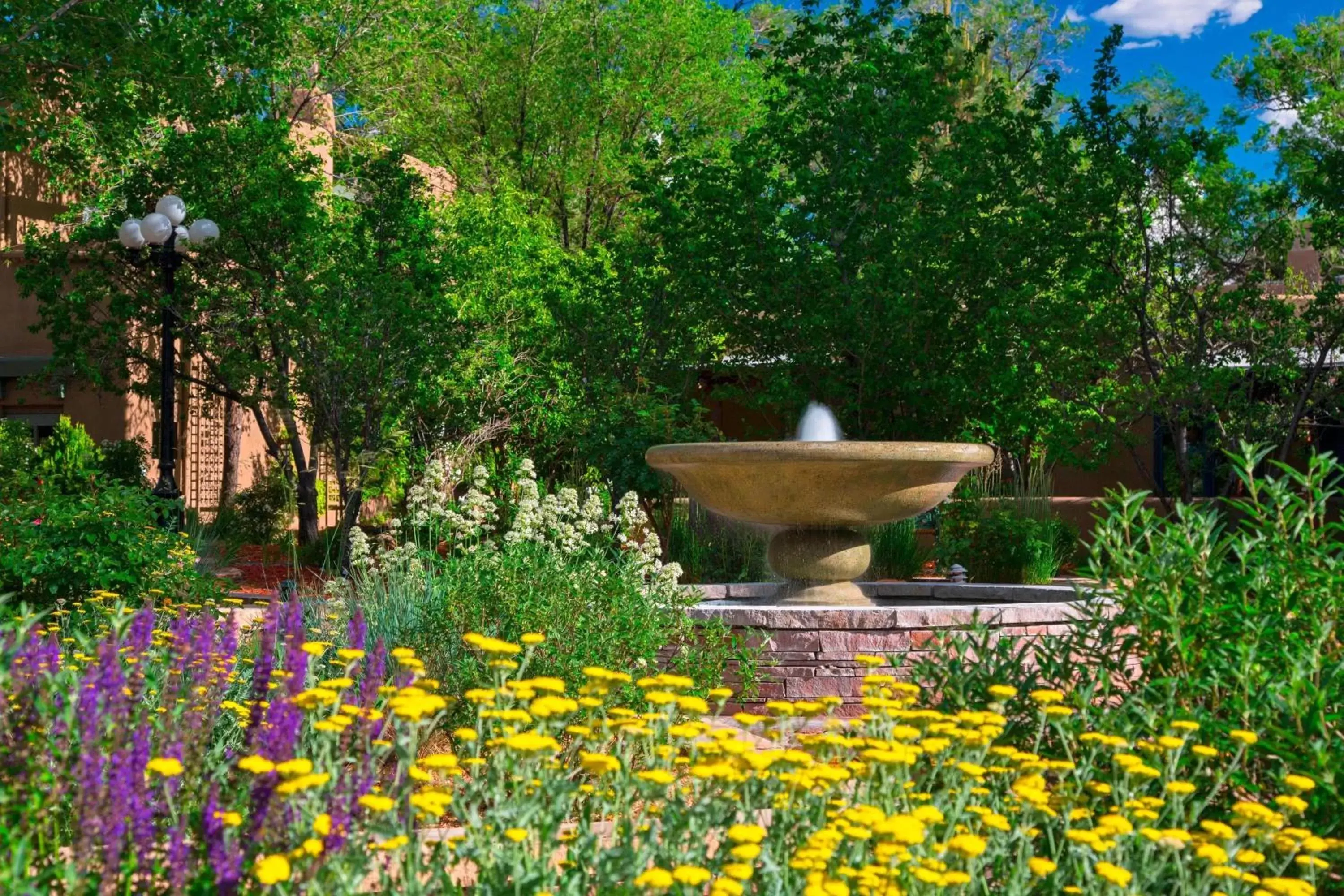 Other, Garden in La Posada De Santa Fe, a Tribute Portfolio Resort & Spa
