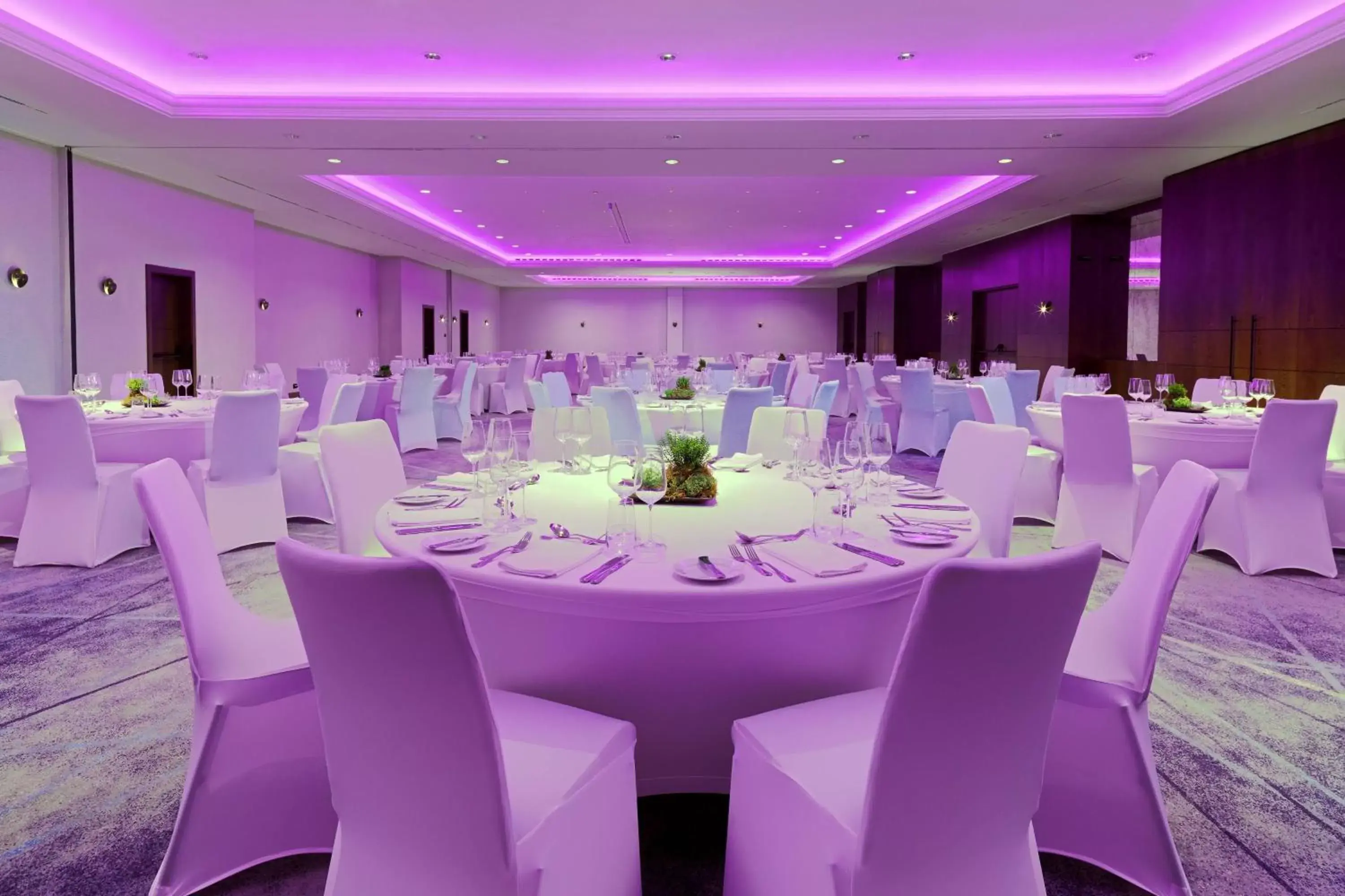 Meeting/conference room, Banquet Facilities in Prague Marriott Hotel