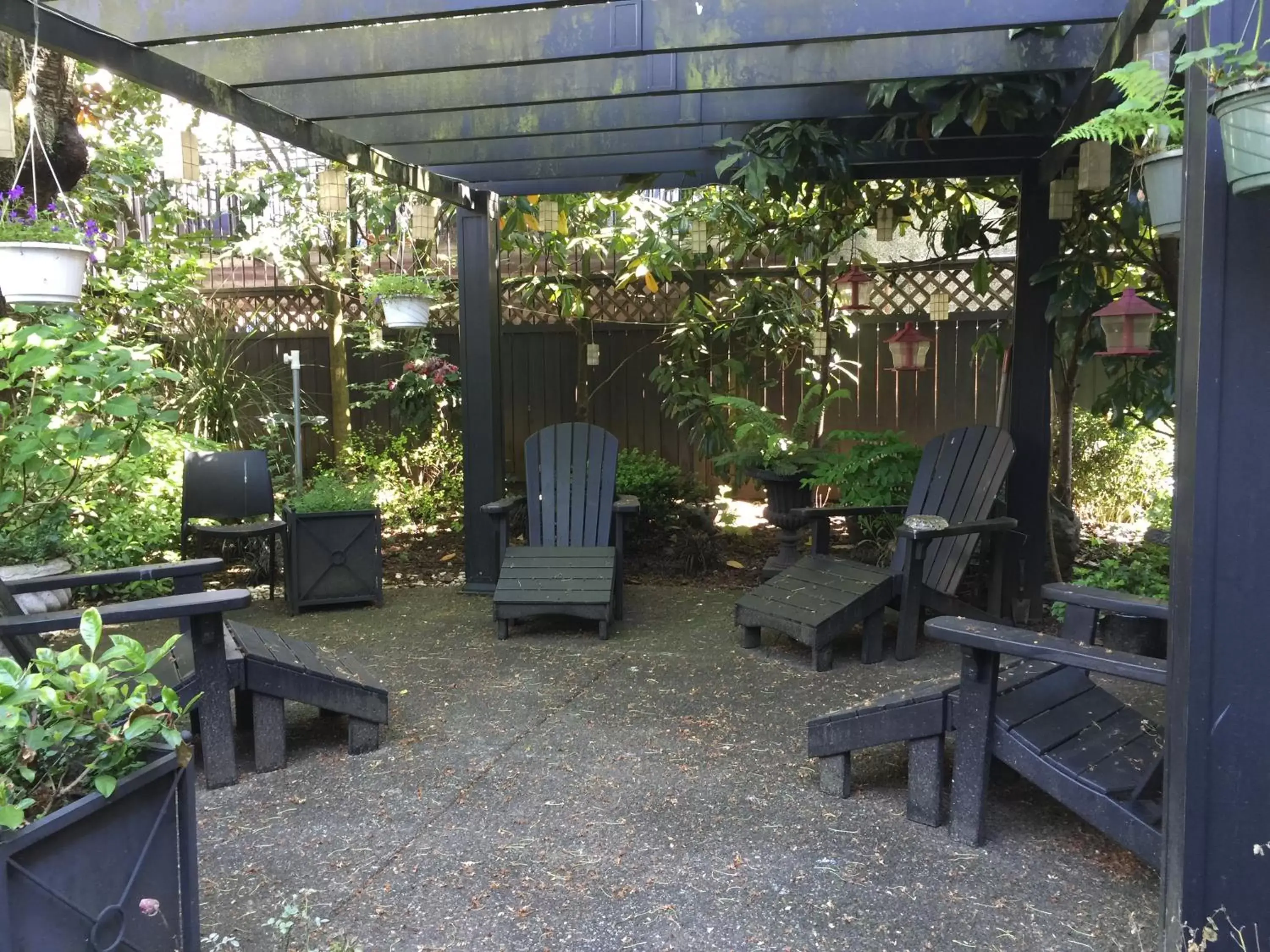 Garden, BBQ Facilities in Barclay House Bed and Breakfast