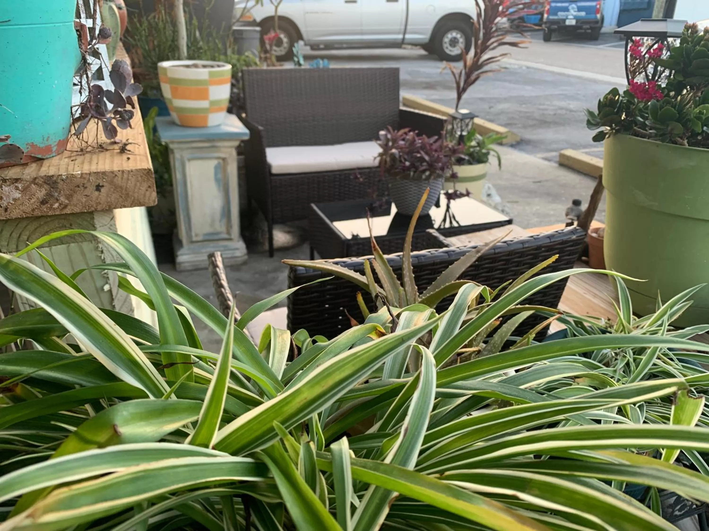 Michaels Siesta Studios