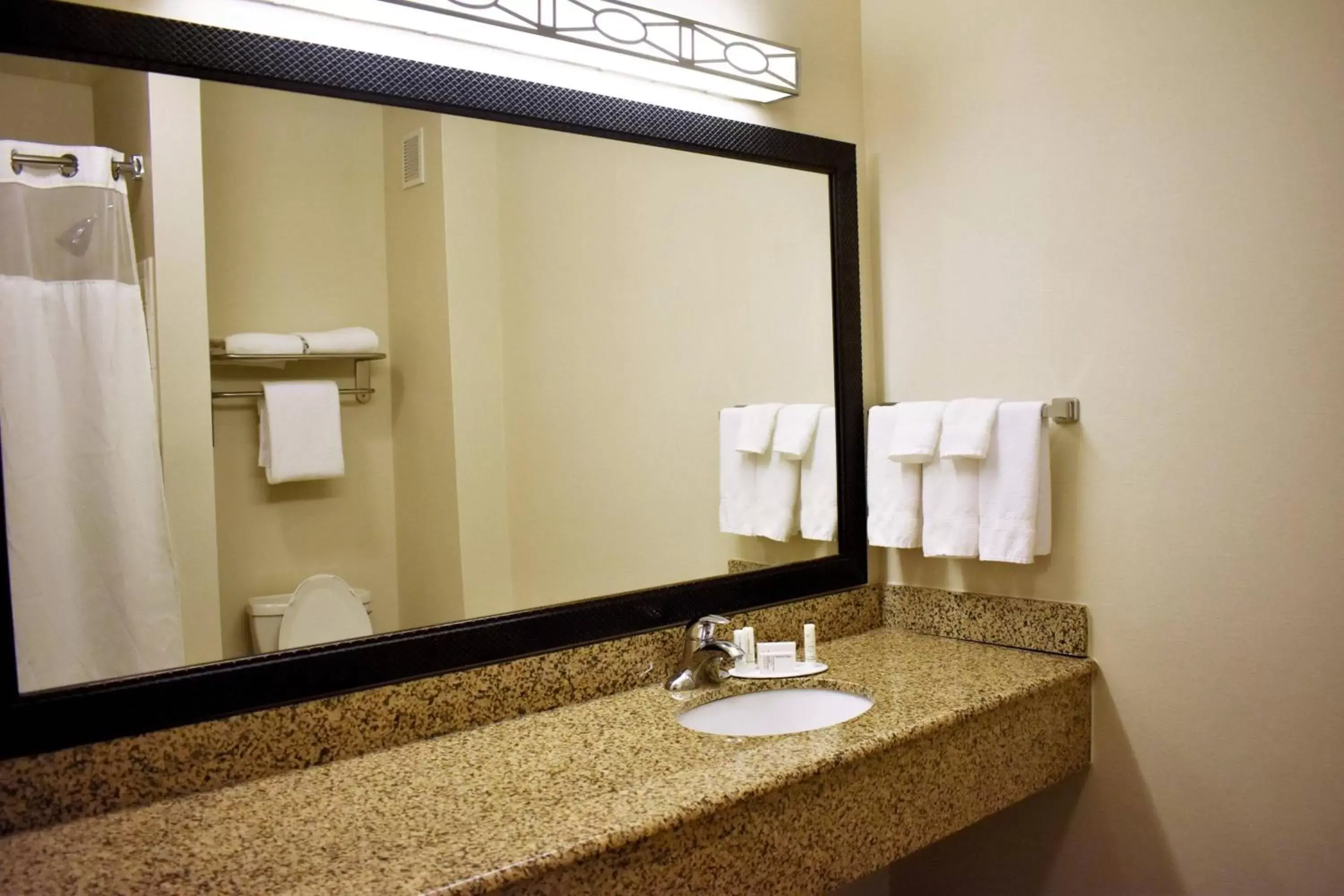 Bathroom in Fairfield Inn and Suites by Marriott Strasburg Shenandoah Valley