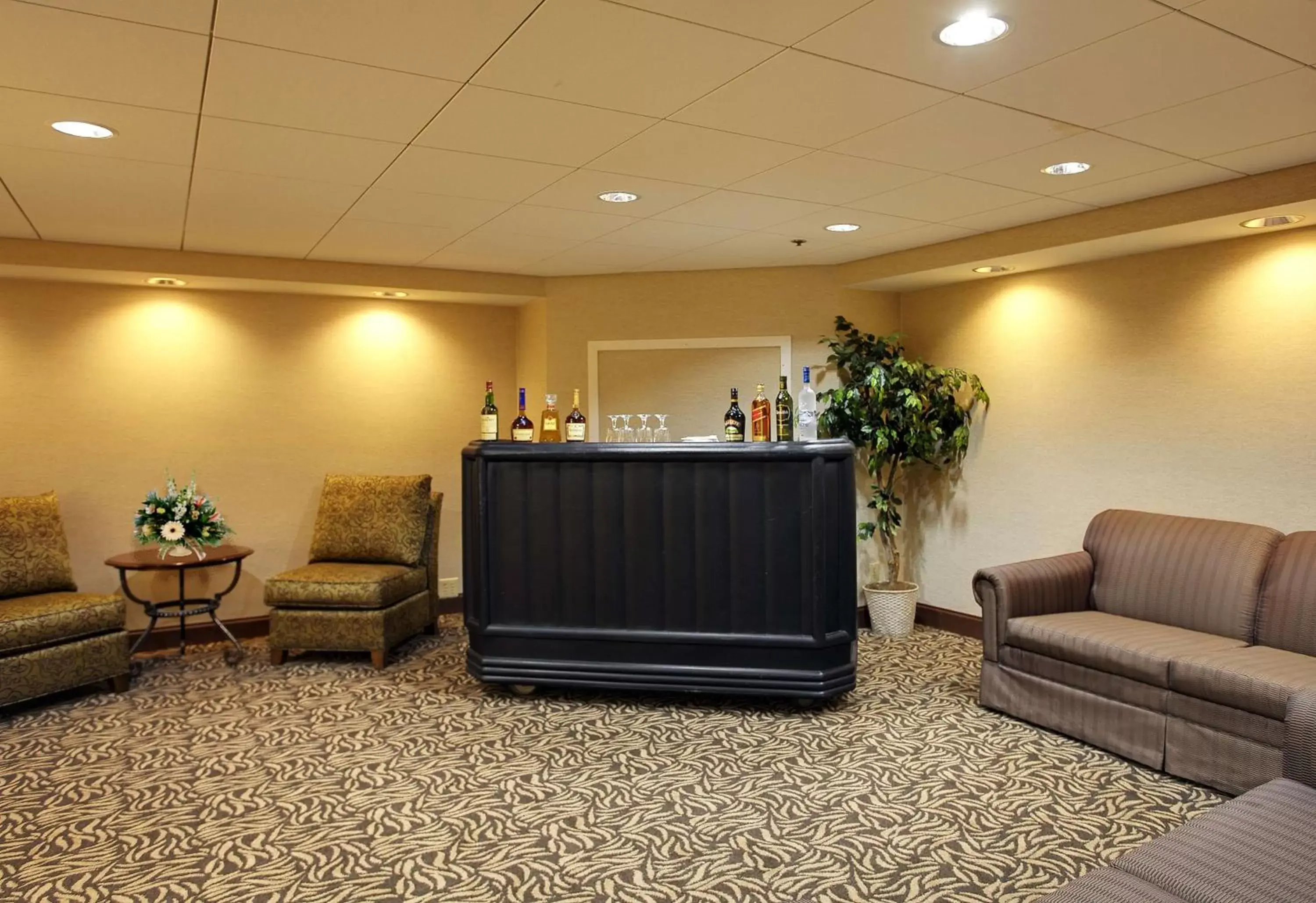 Lounge or bar, Lobby/Reception in Wyndham Garden Philadelphia Airport