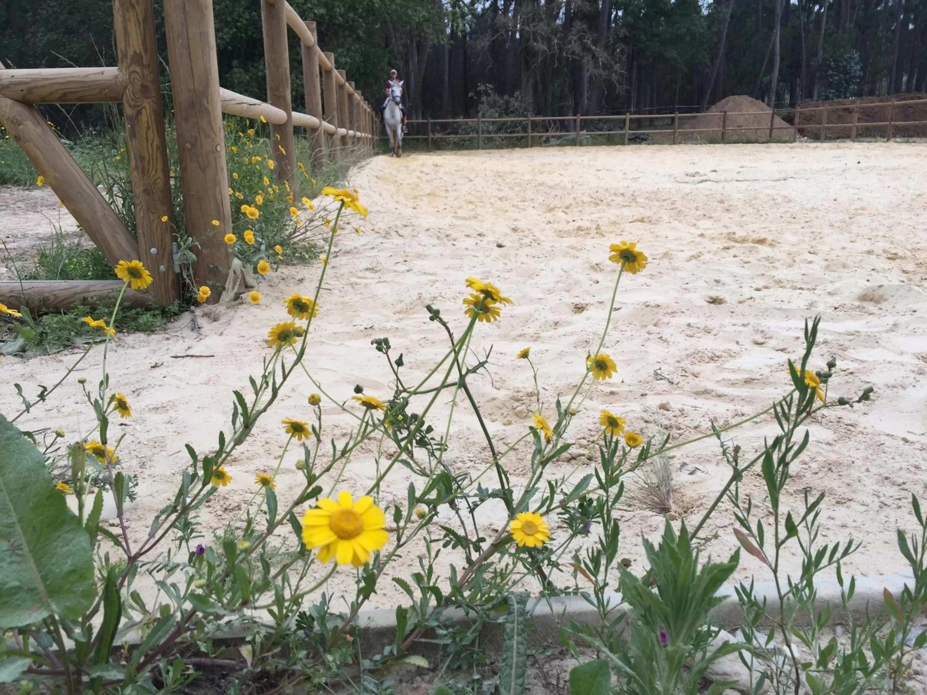 Coudelaria Residence