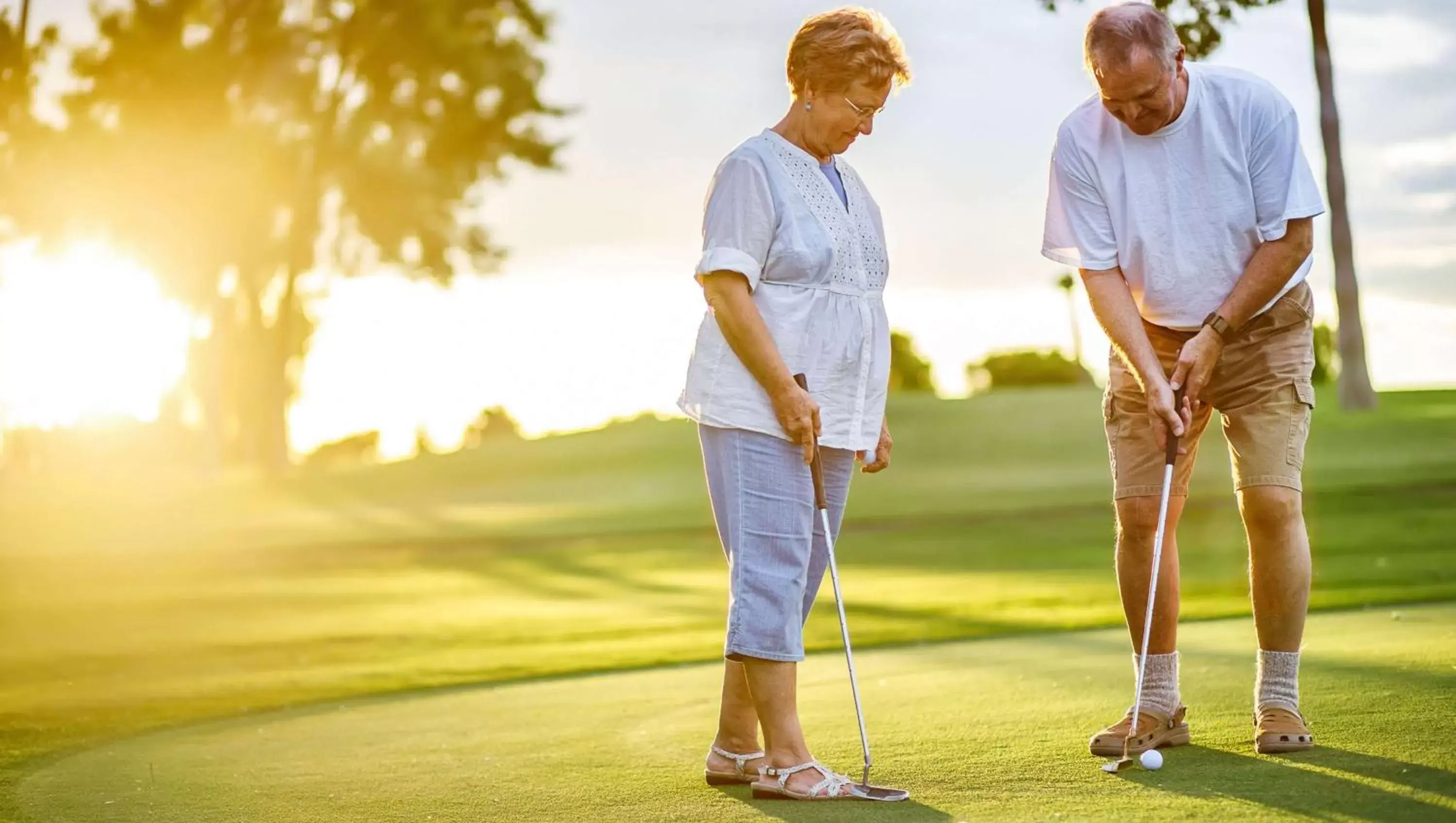 Area and facilities, Golf in Alma Motel