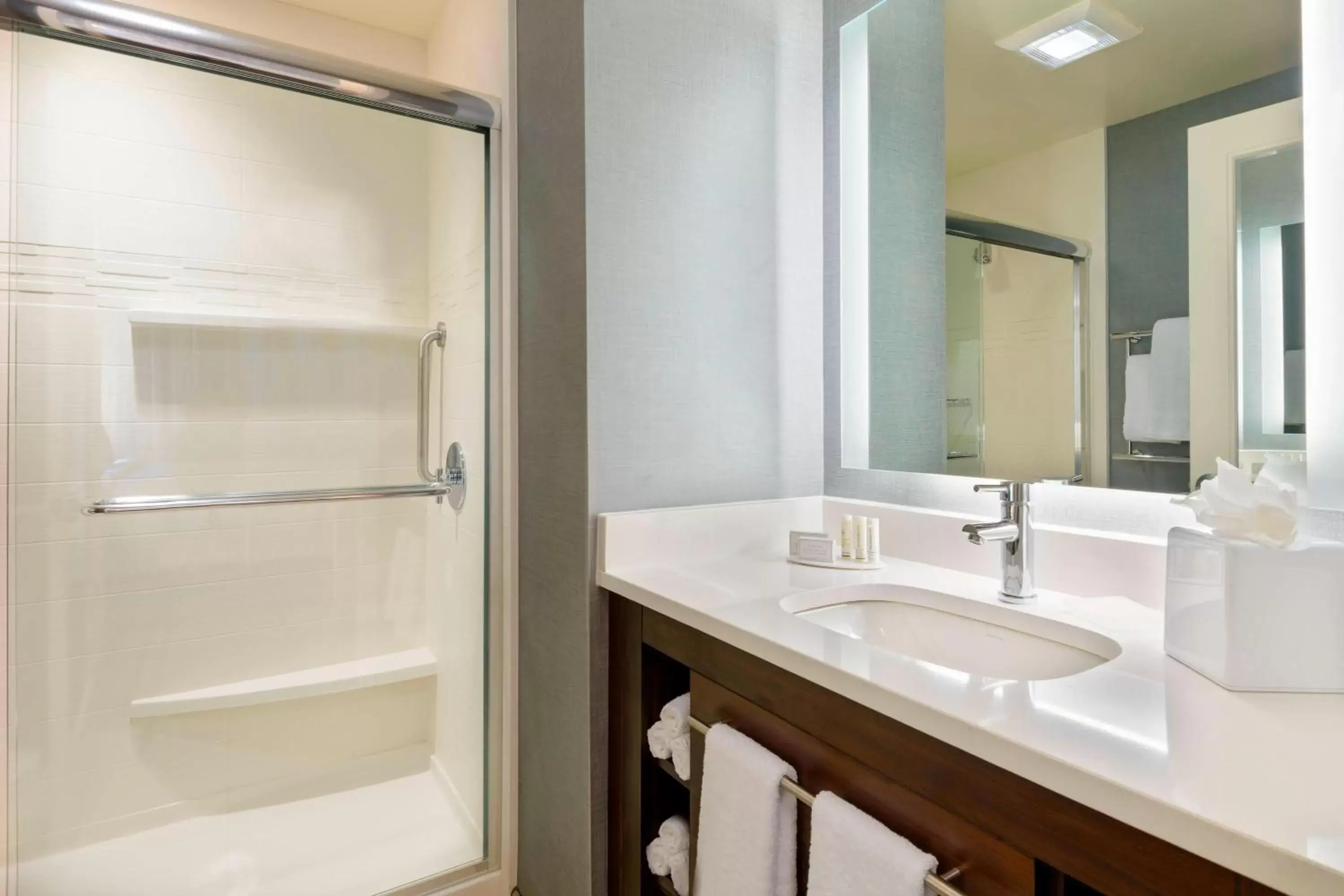 Bathroom in Residence Inn by Marriott Fort Myers at I-75 and Gulf Coast Town Center