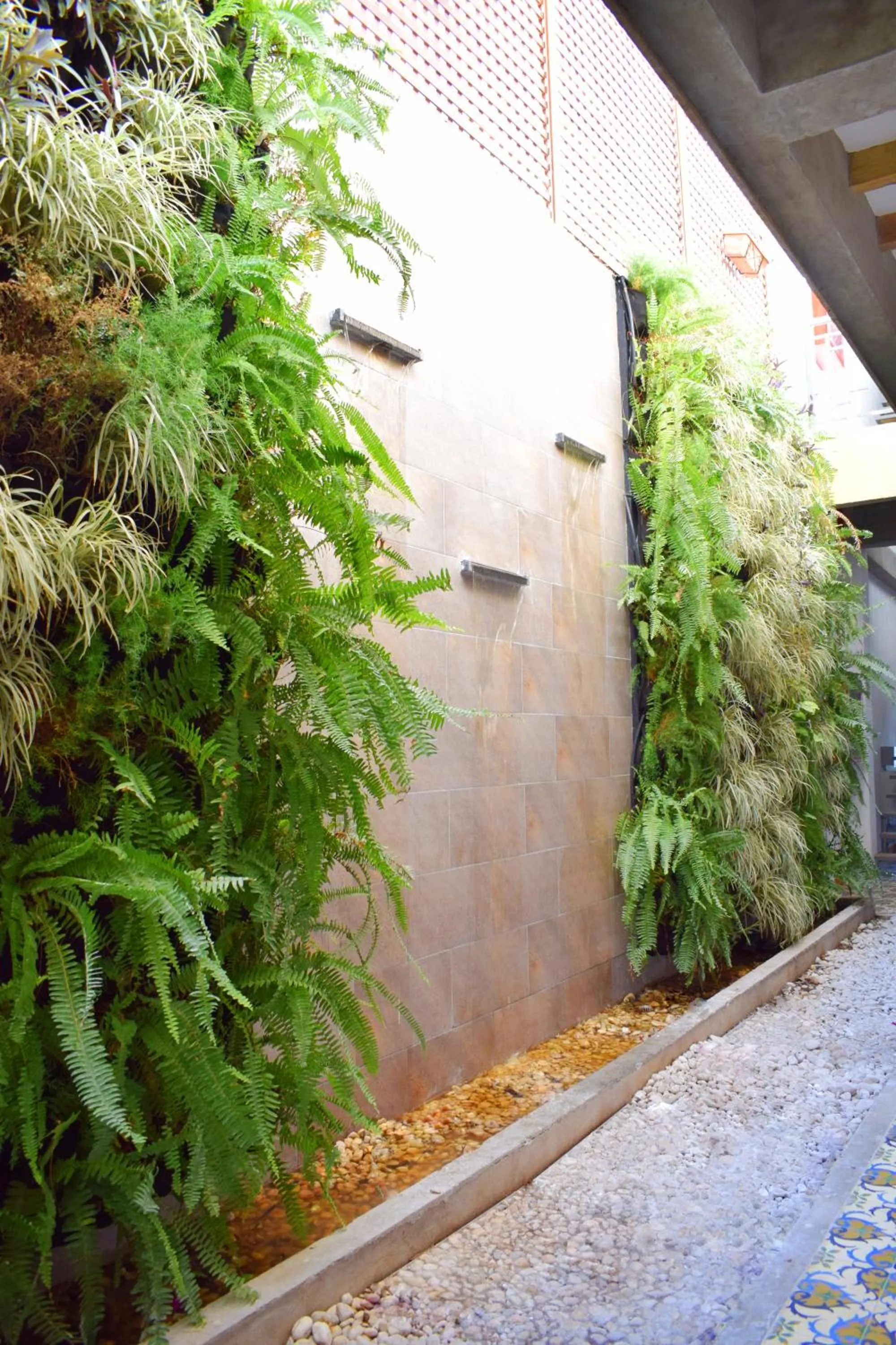 Garden in Hotel Boutique Casa Mia