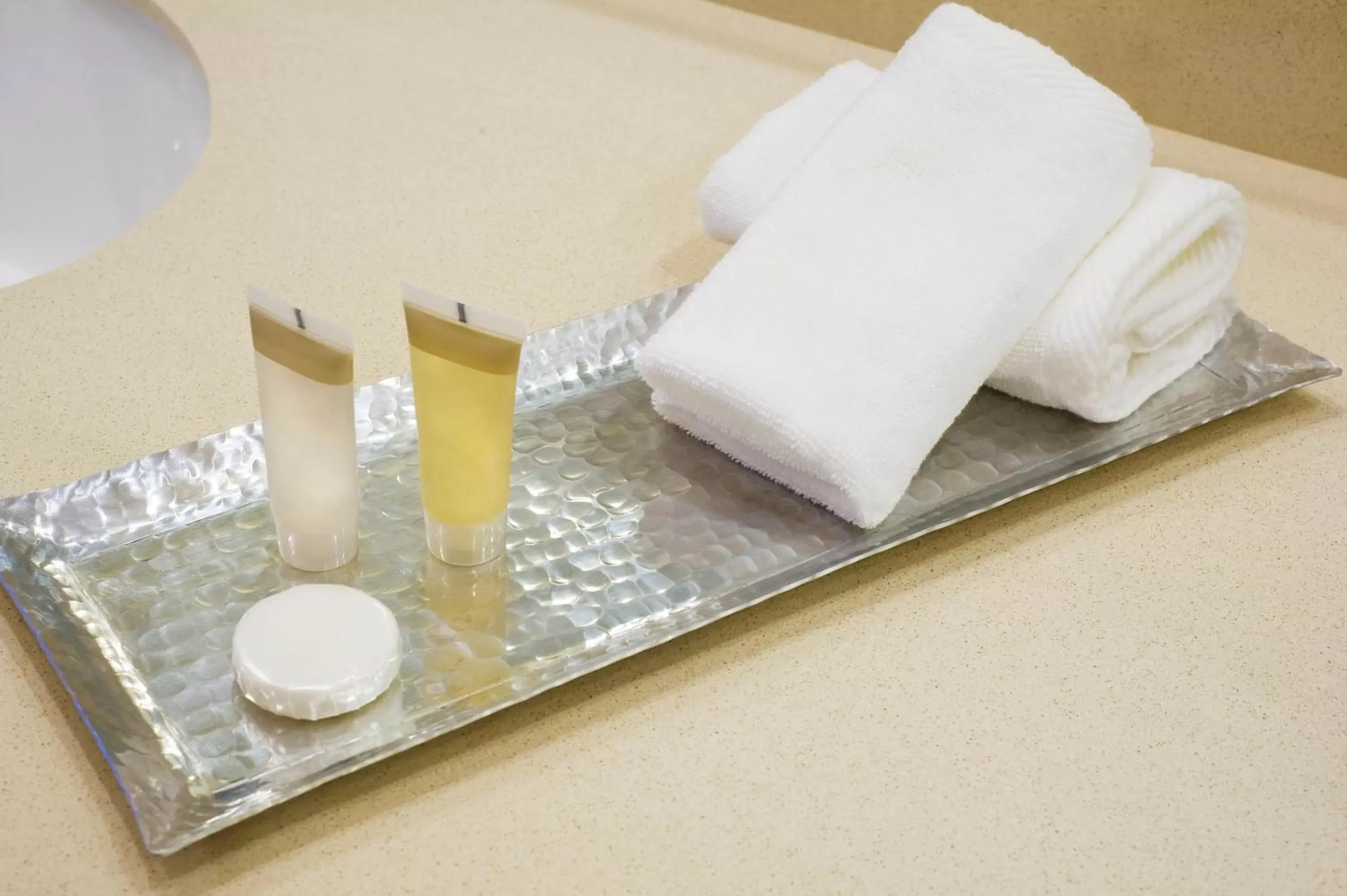 Bathroom in Saskatoon Inn & Conference Centre Bathroom in Saskatoon Inn & Conference Centre