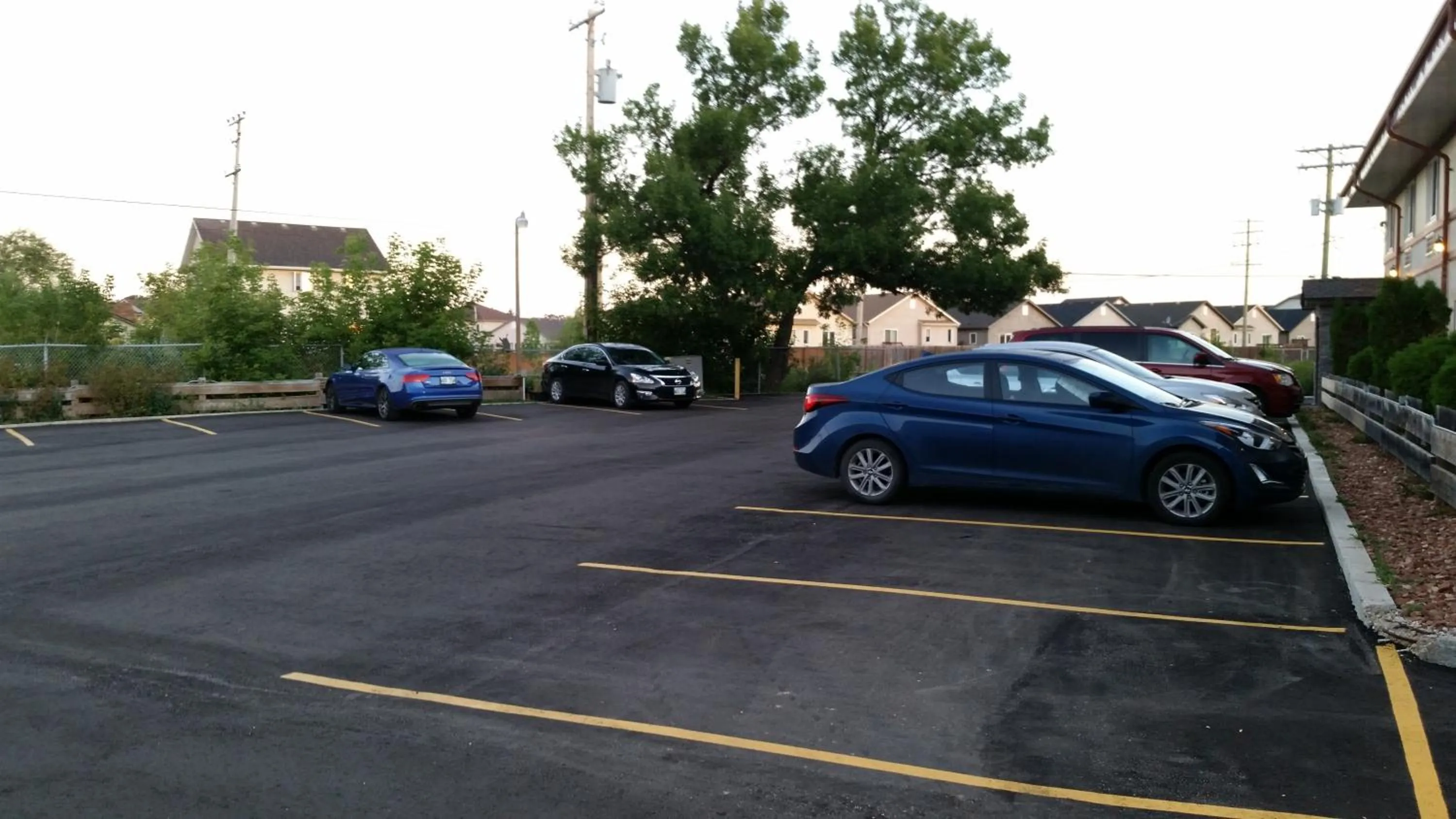 Day in Queen Bee Hotel