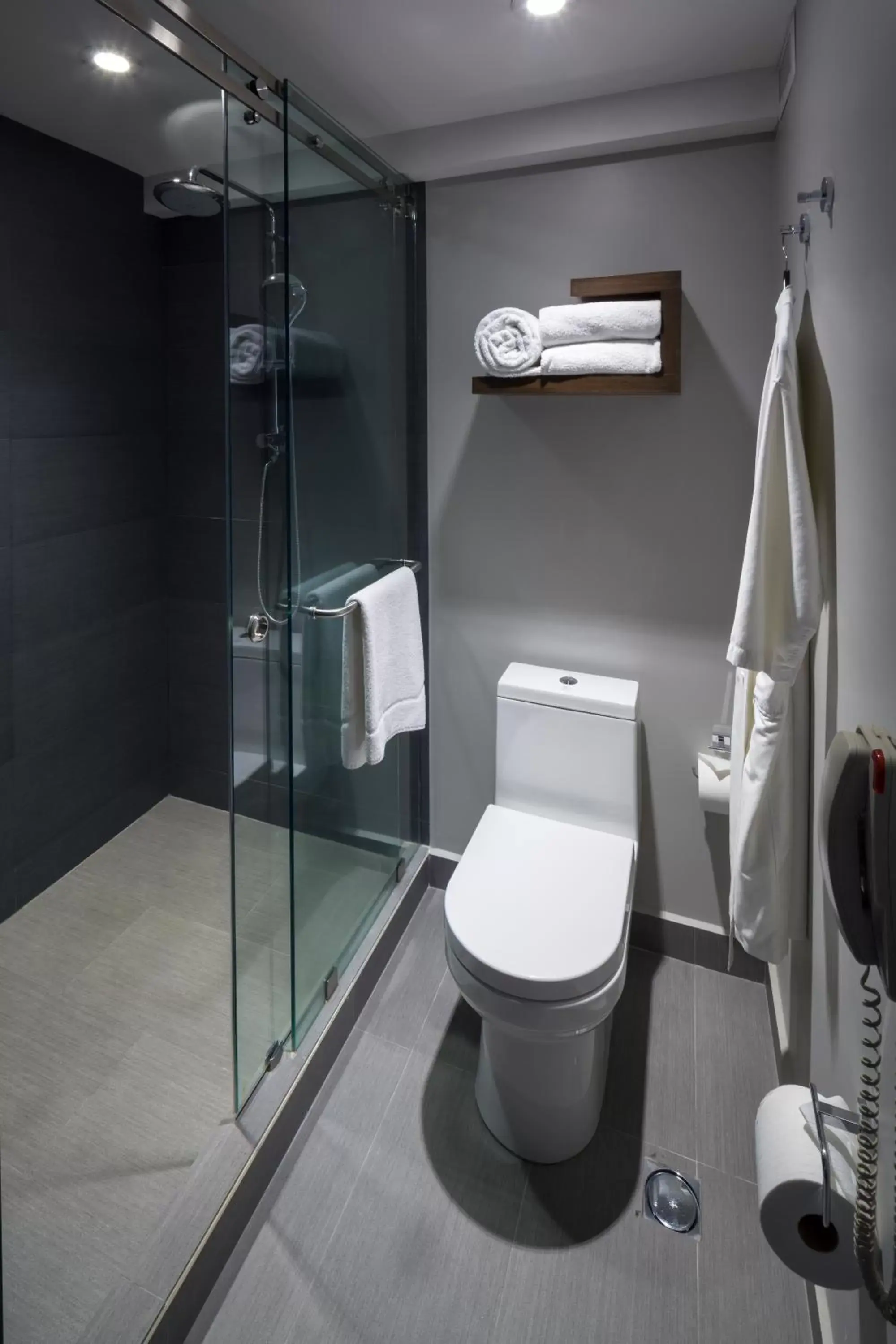 Toilet, Bathroom in InterContinental Presidente Mexico City, an IHG Hotel