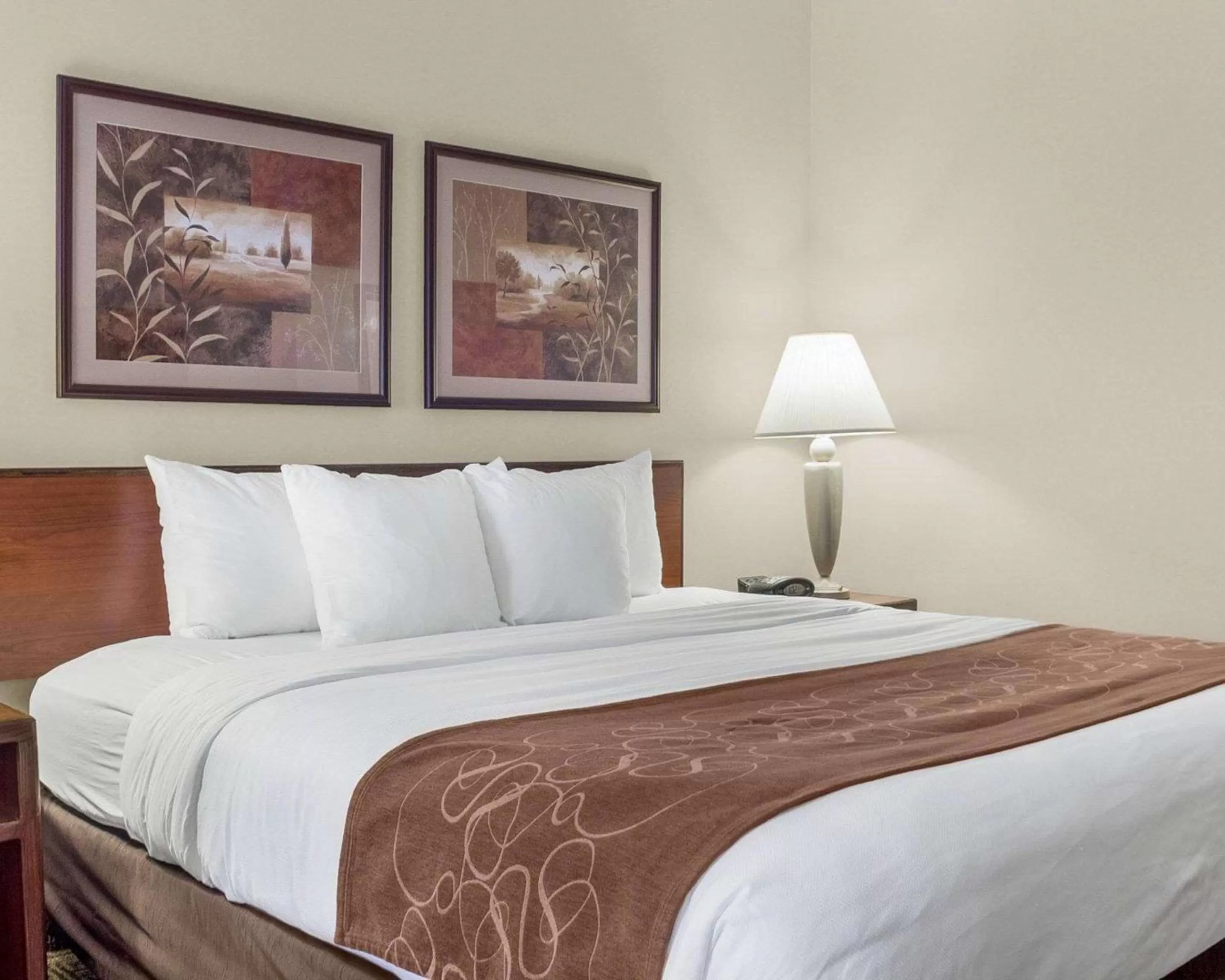 Photo of the whole room in Comfort Inn Bismarck