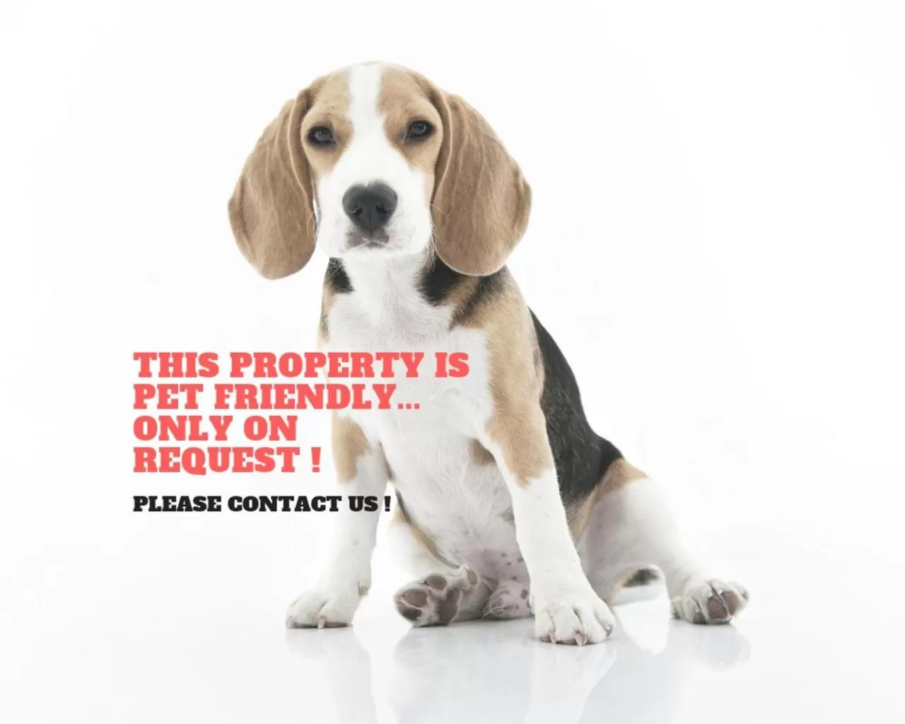 Other in Orange Hotel La Louvière