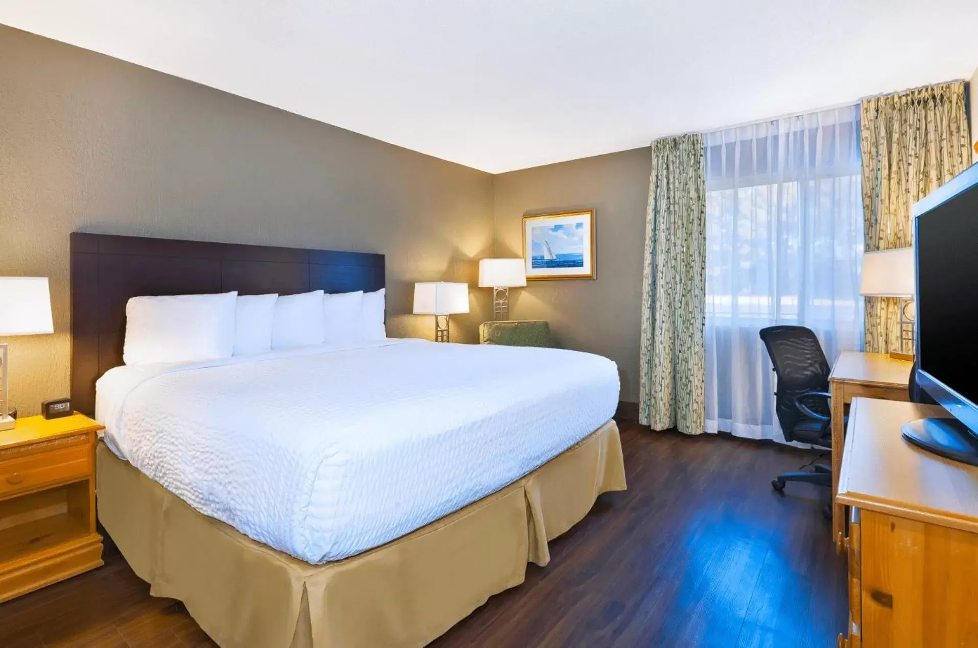 Pets, Bed in Clarion Hotel Seekonk - Providence