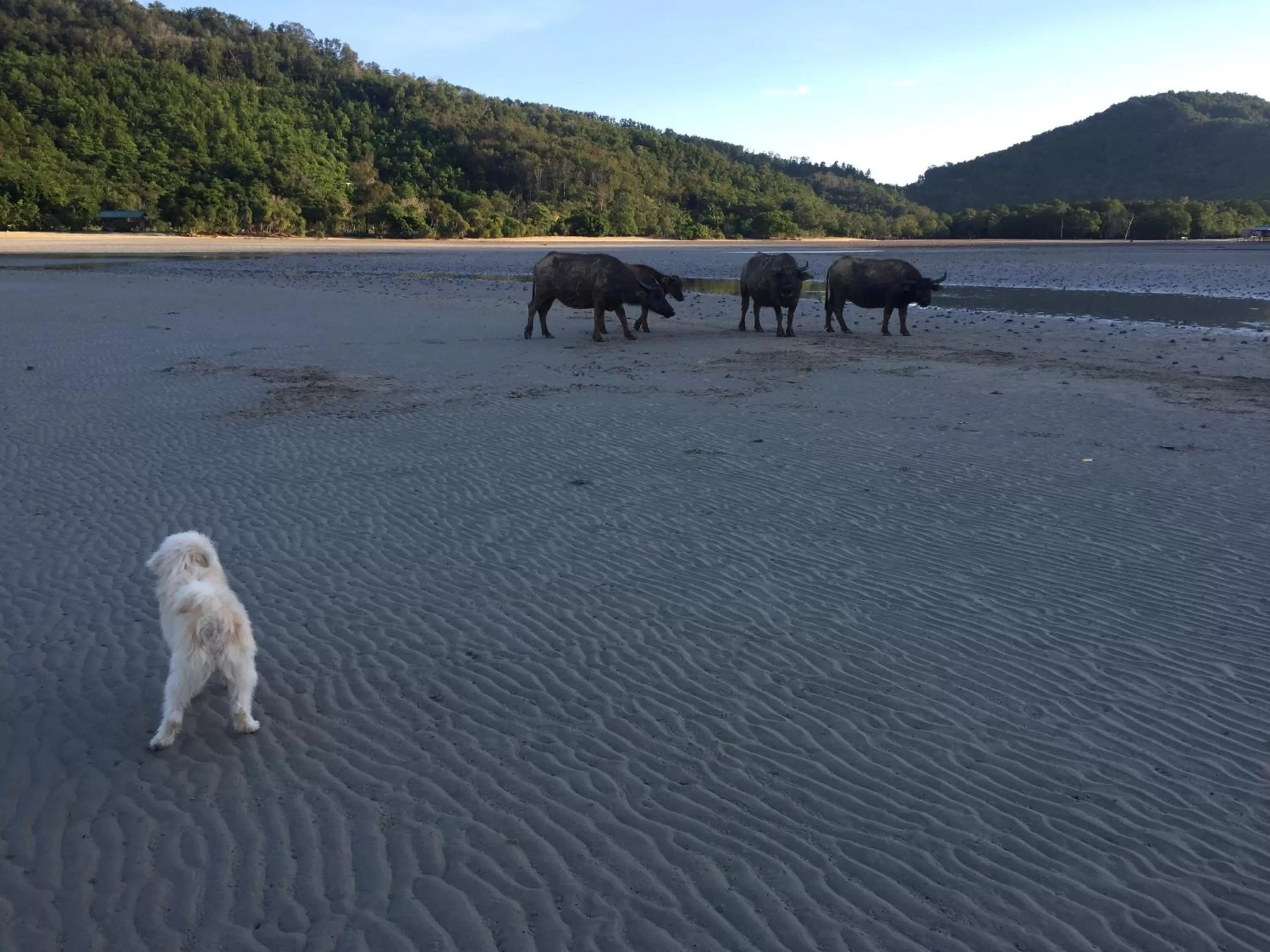 Dragon Pearl Beach Resort