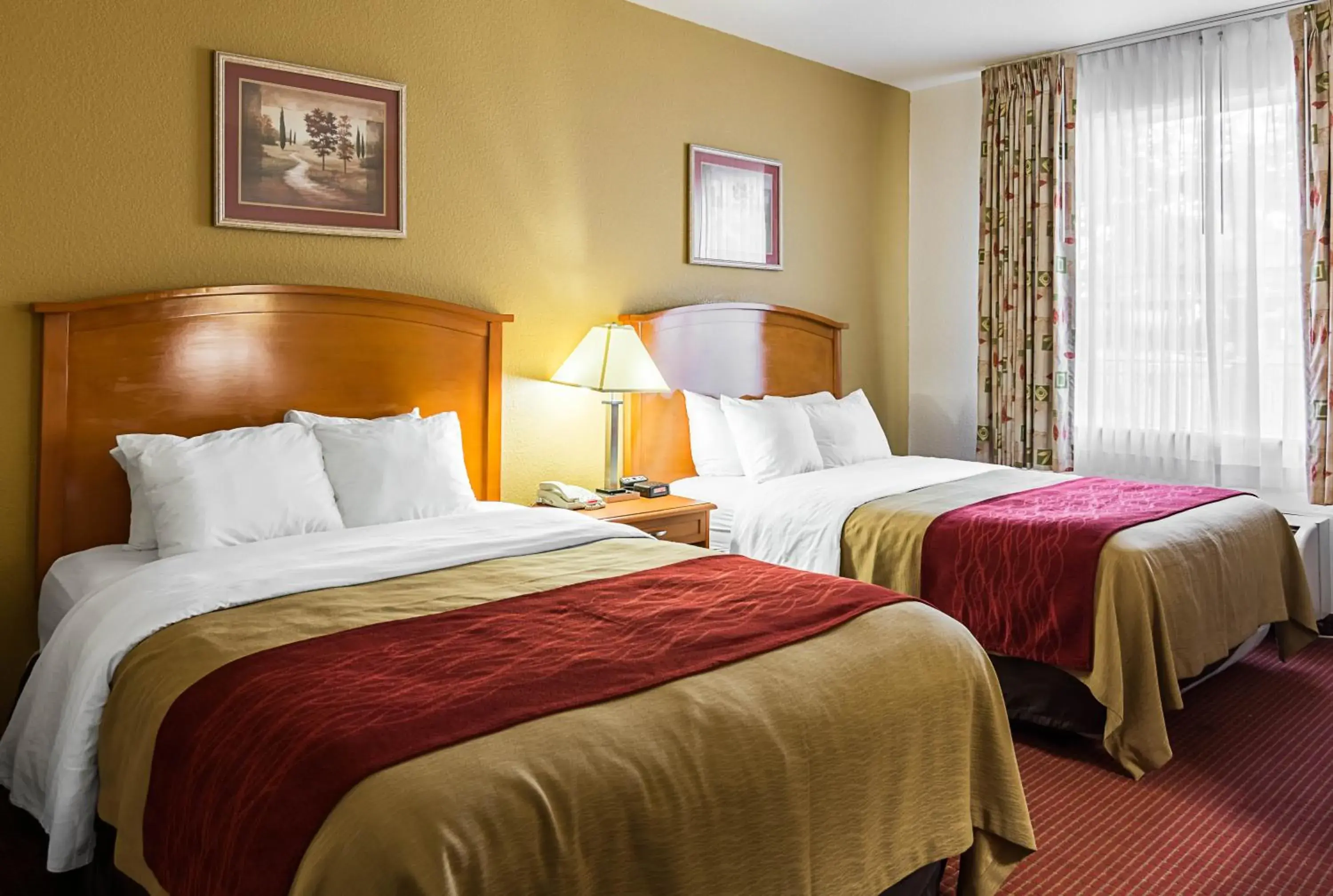 Queen Room with Two Queen Beds - Non-Smoking in Comfort Inn & Suites Chesapeake - Portsmouth