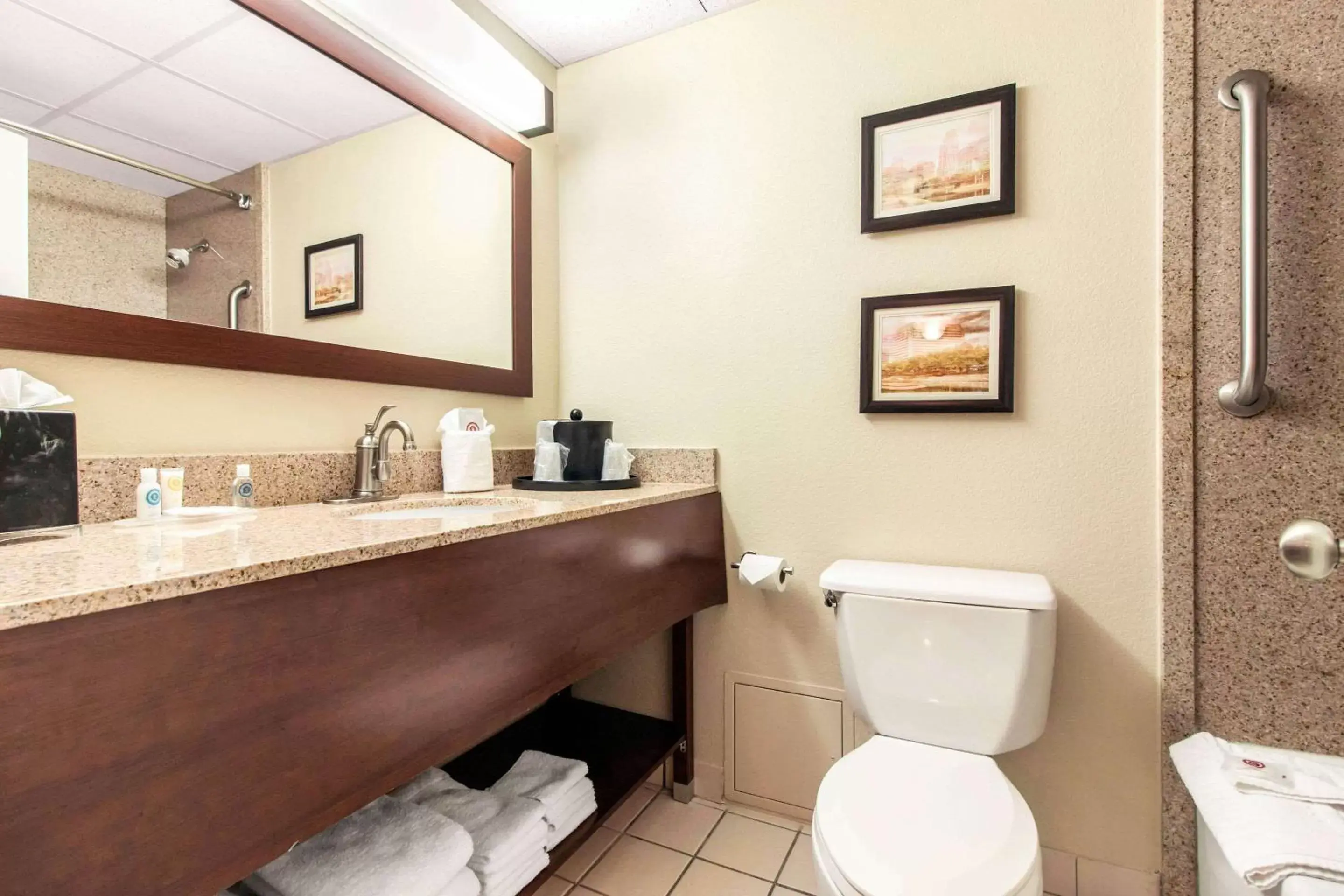 Bathroom in Comfort Inn & Suites Omaha
