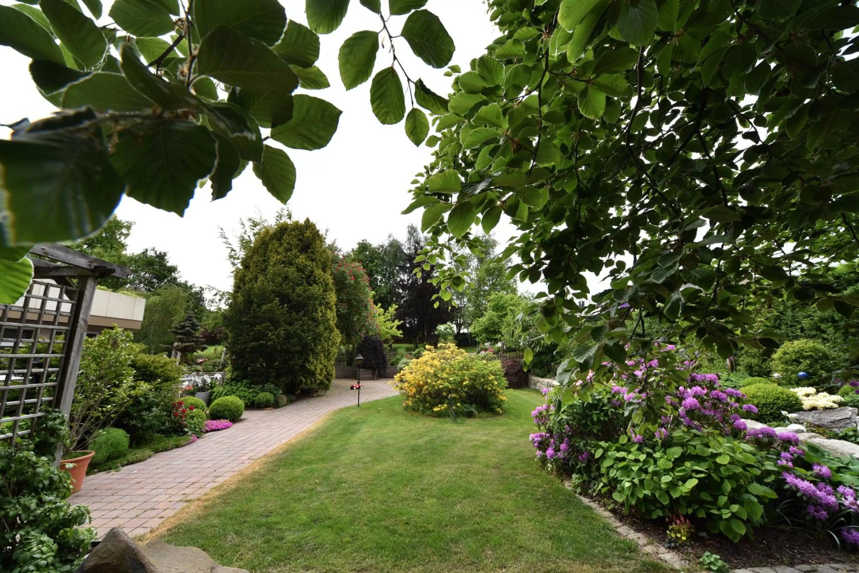 Garden in Hotel Falter