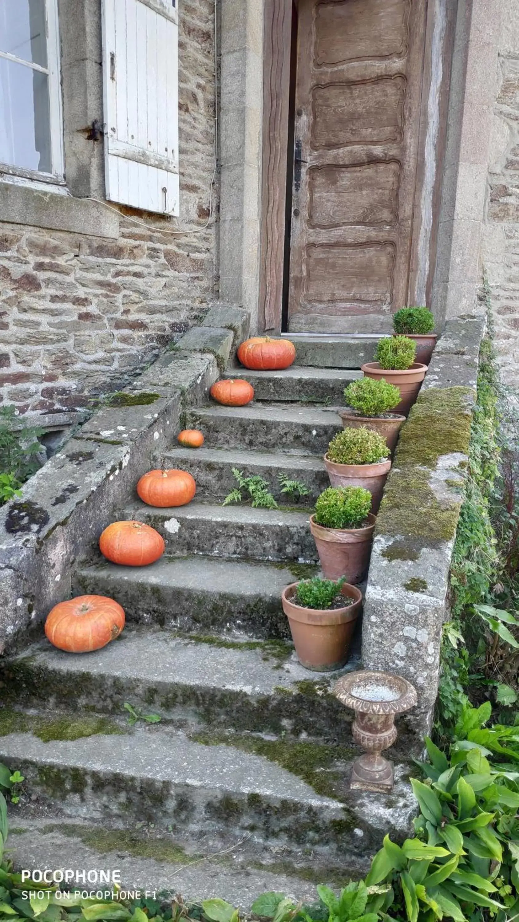 Garden in Le Manoir de la Bigotière