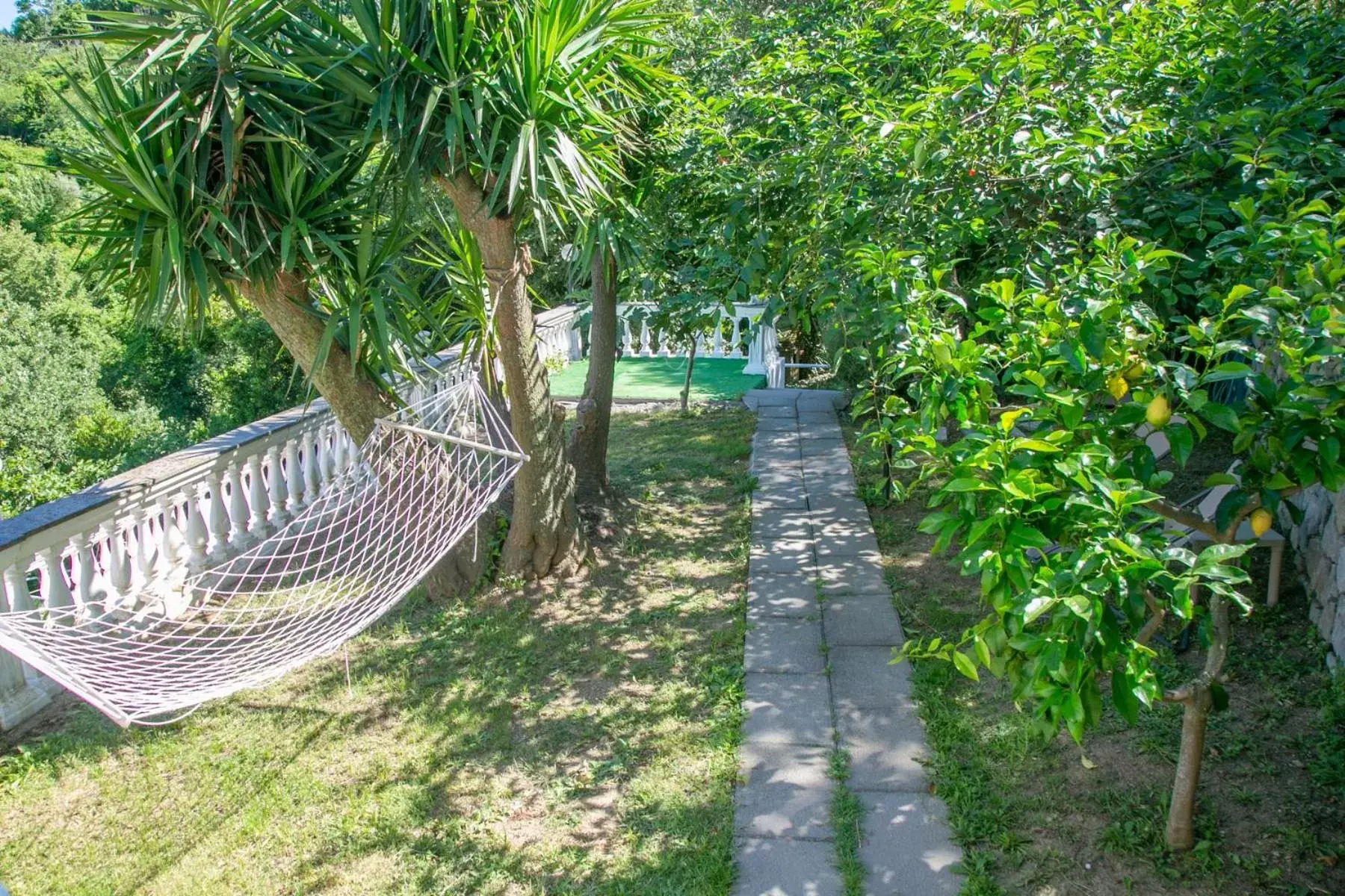 Garden in Villa Costanza sorrento B&b