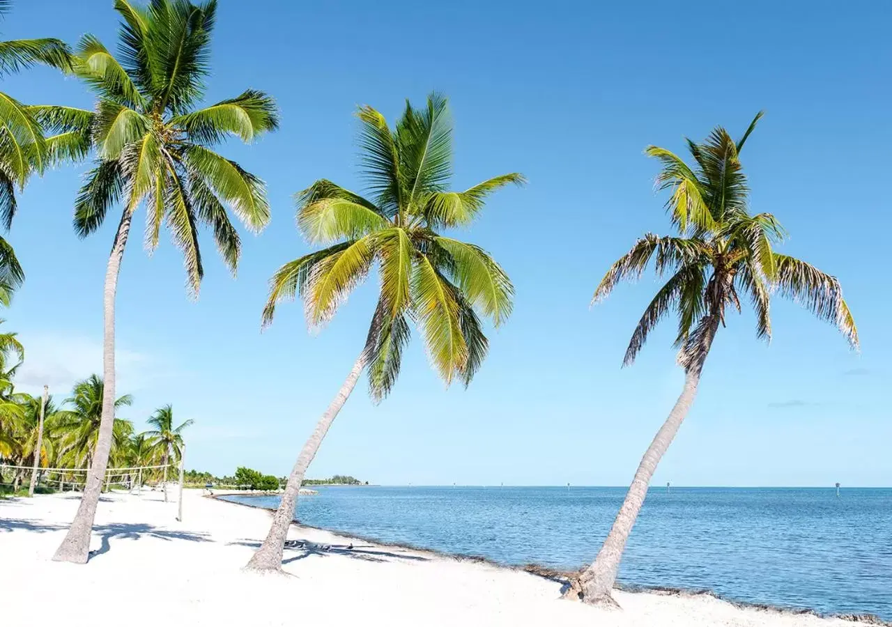 Beach in Parrot Key Hotel & Villas