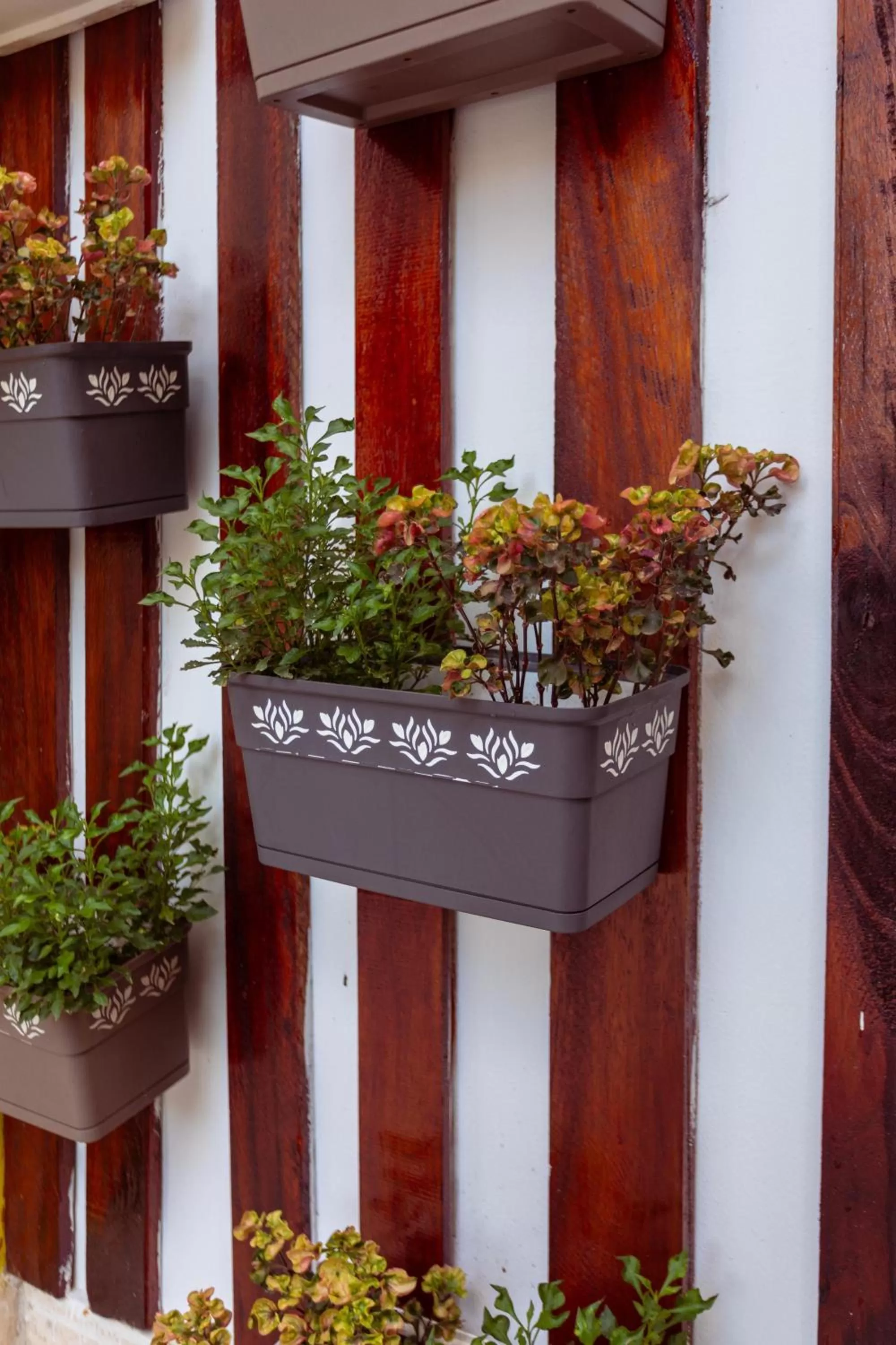 Garden in Canary Nungwi Hotel & Free SPA