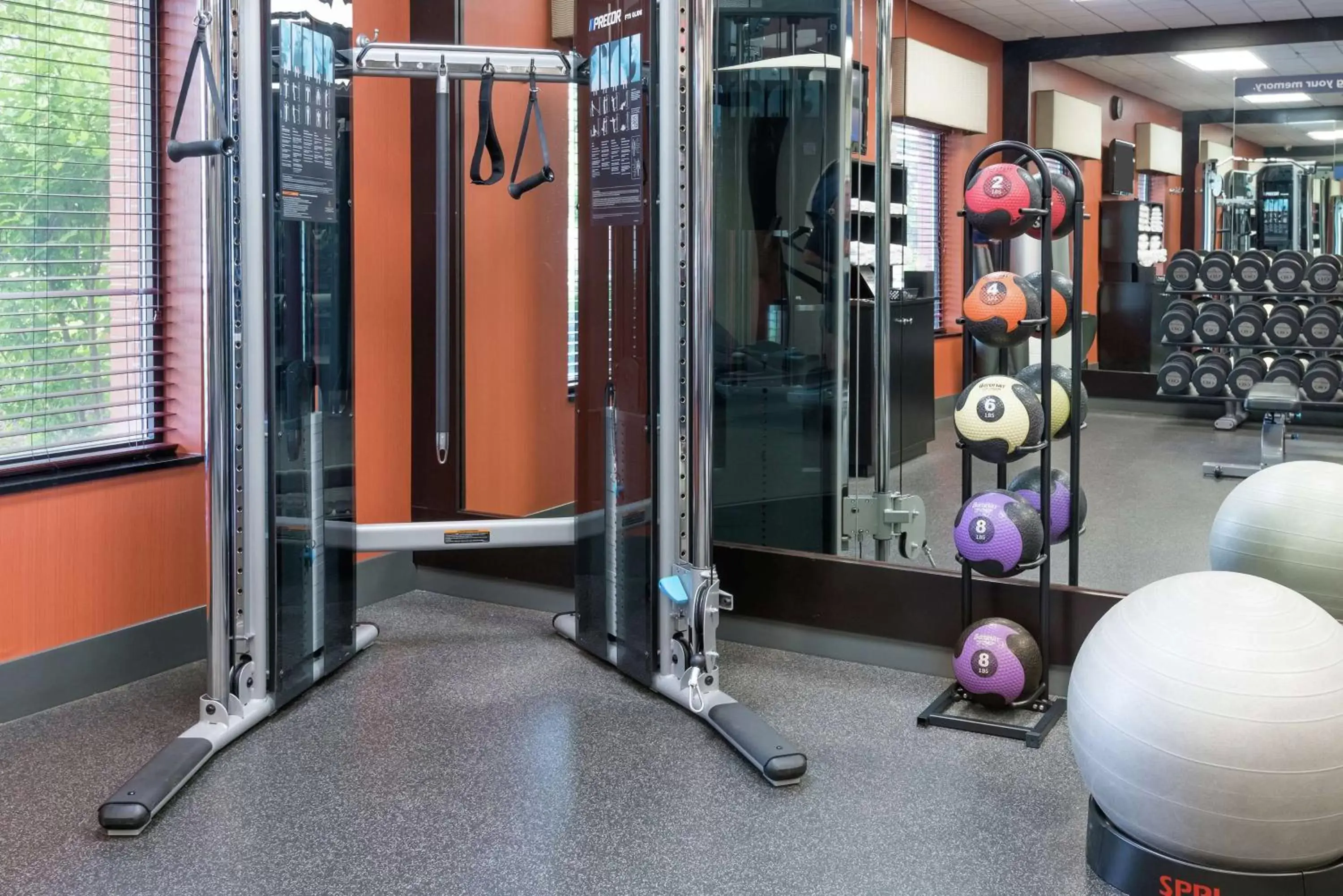 Fitness centre/facilities, Fitness Center/Facilities in Hampton Inn Springfield South Enfield