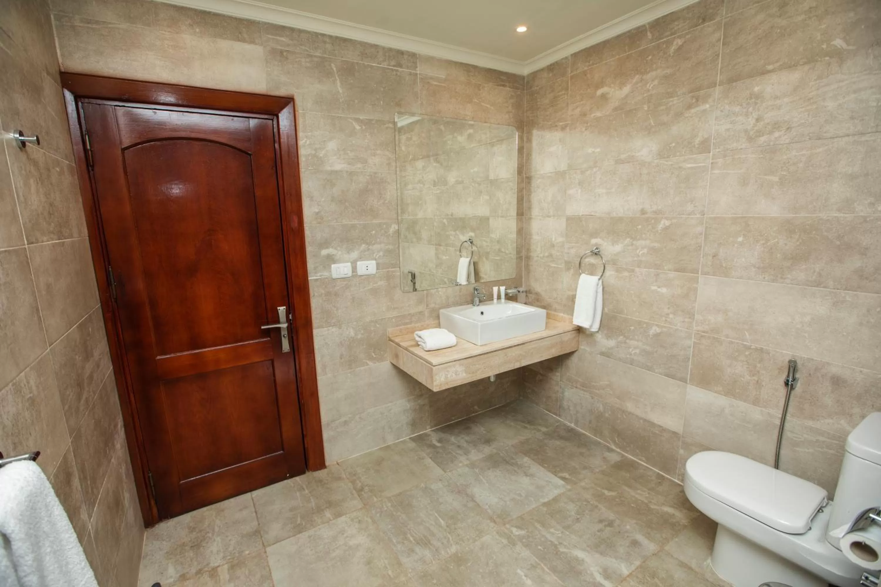 Toilet in AIFU Hotel El Montazah Alexandria