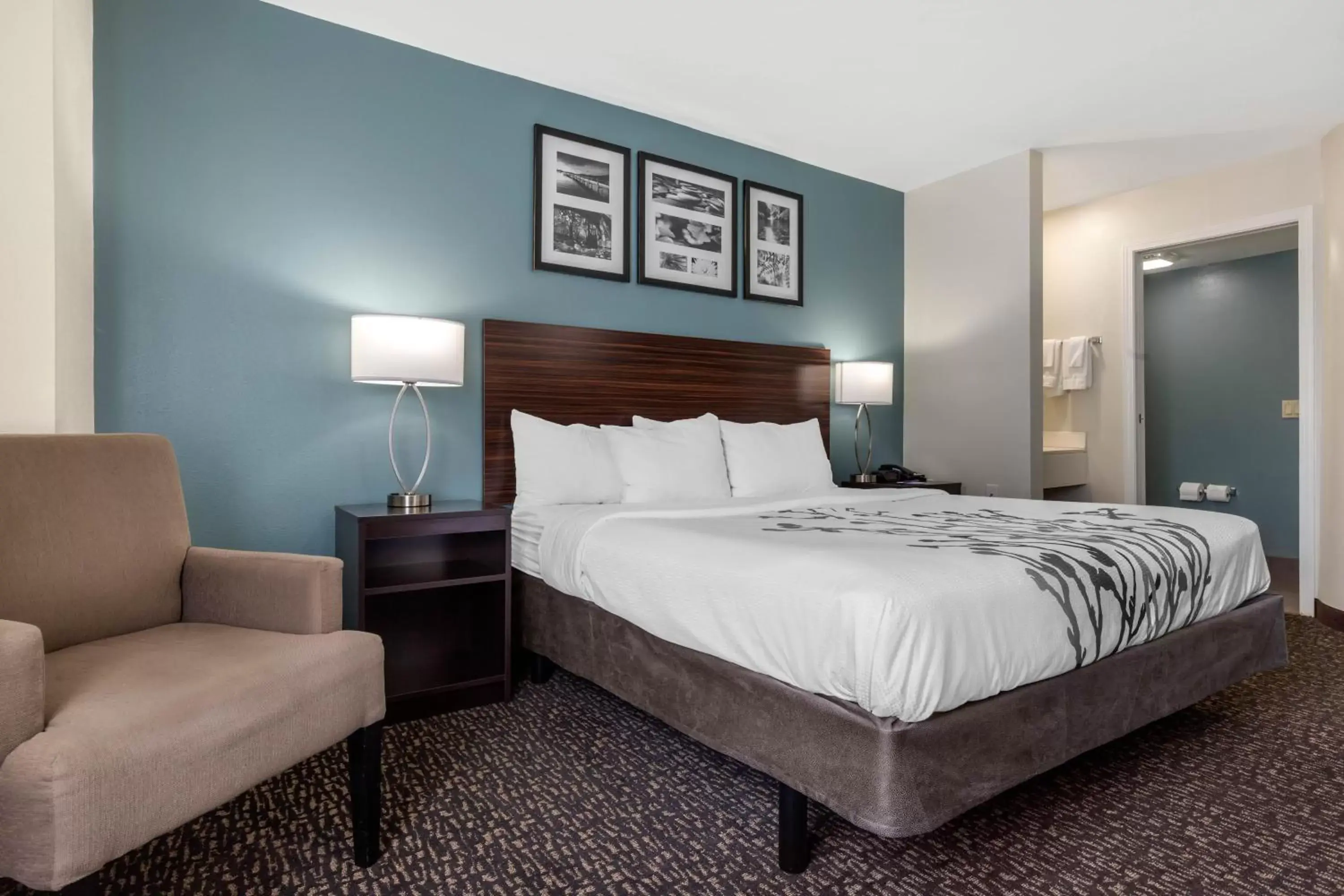 Bed in Sleep Inn & Suites Johnson City