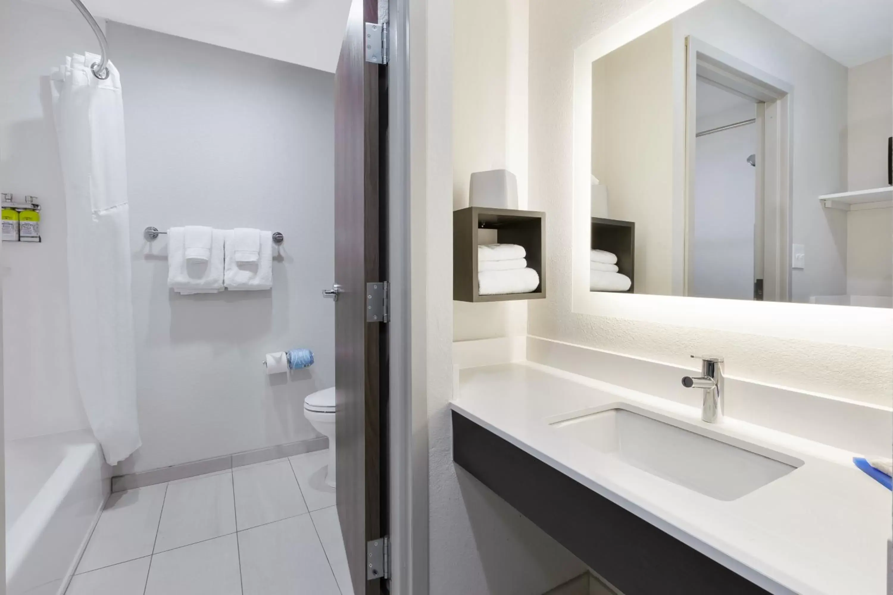 Bathroom in Holiday Inn Express Detroit-Warren/General Motors Technology Center, an IHG Hotel