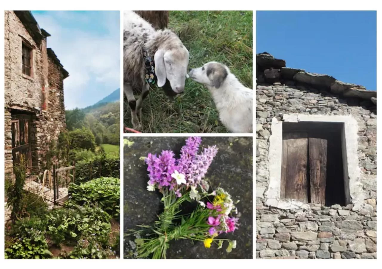 Spring in Medieval Hamlet Malpertus