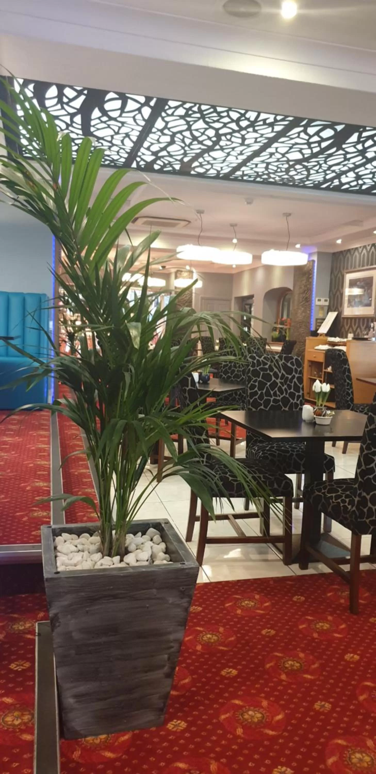 Restaurant/places to eat in The Diplomat Hotel Restaurant & Spa