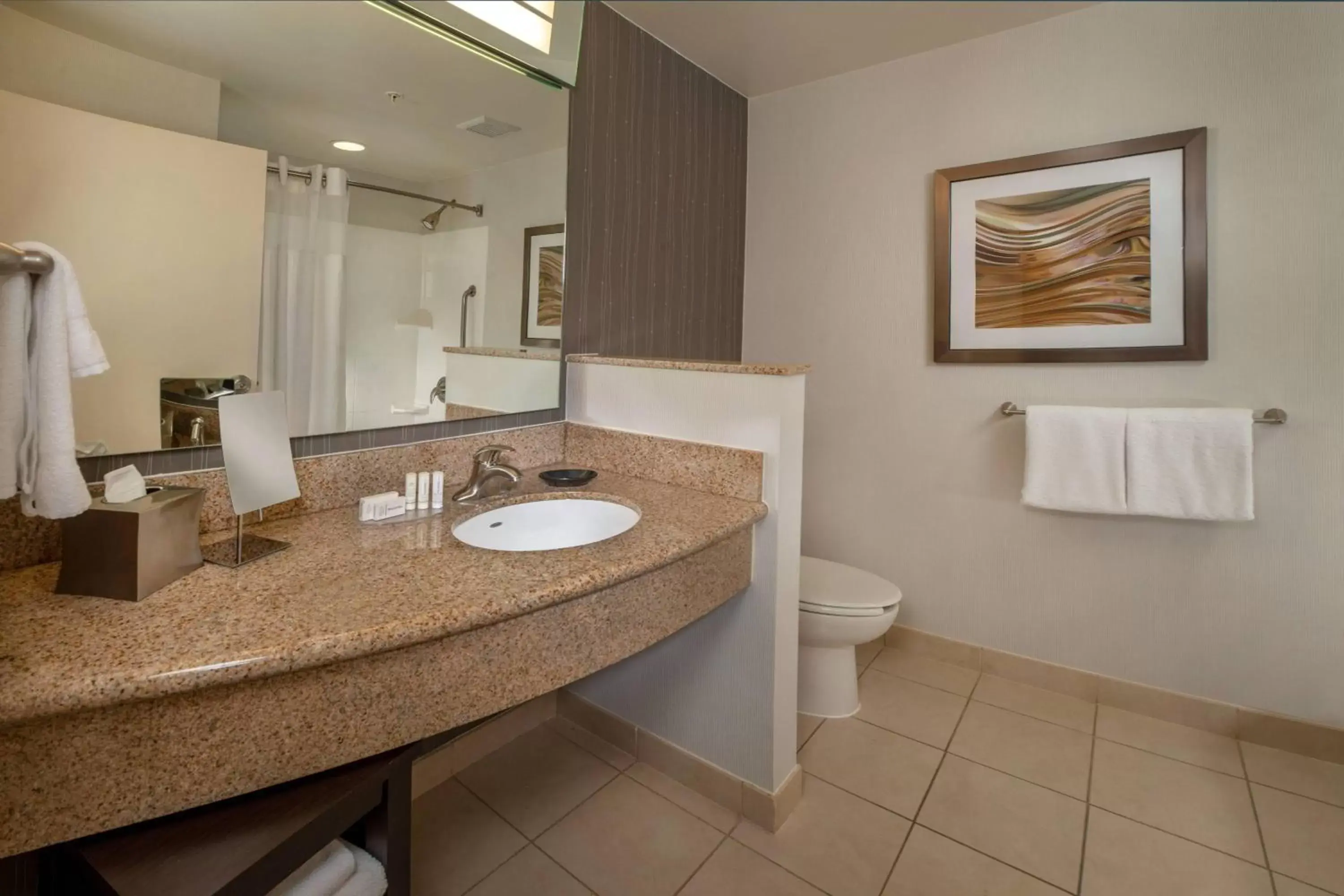 Bathroom in Courtyard by Marriott Hagerstown