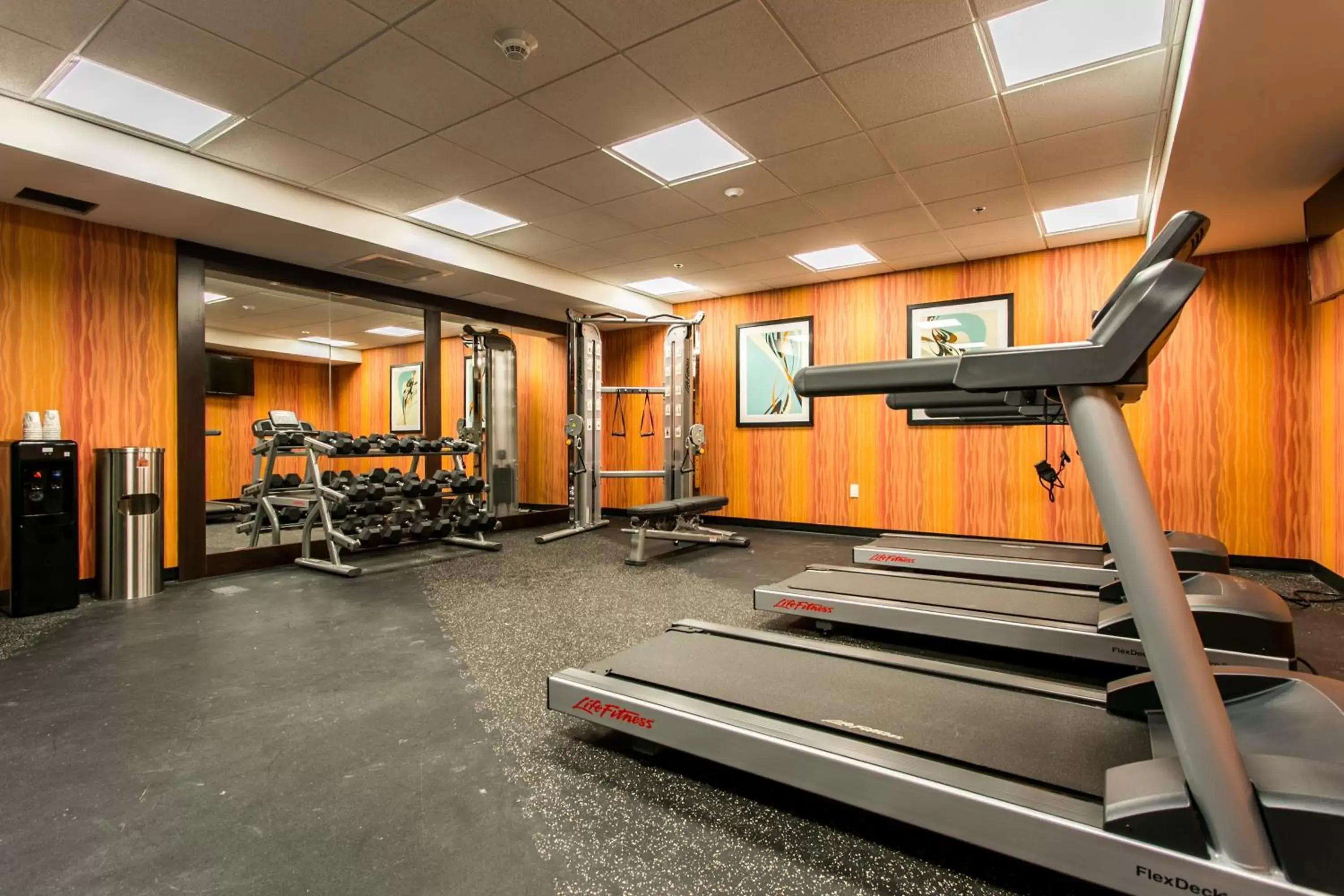 Spa and wellness centre/facilities, Fitness Center/Facilities in Holiday Inn Hotel & Suites Chattanooga, an IHG Hotel