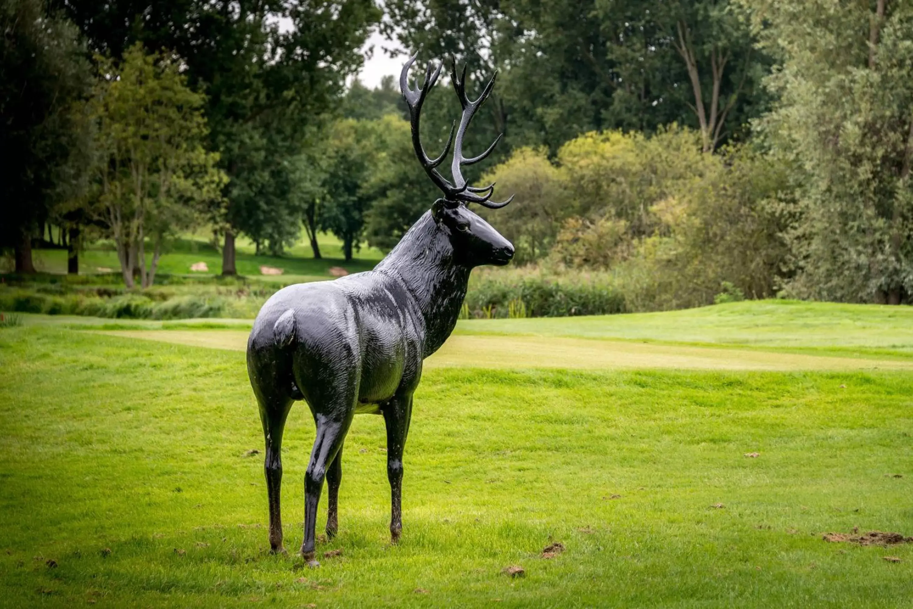 Natural landscape, Other Animals in Le Pavillon du Golf d'Arras