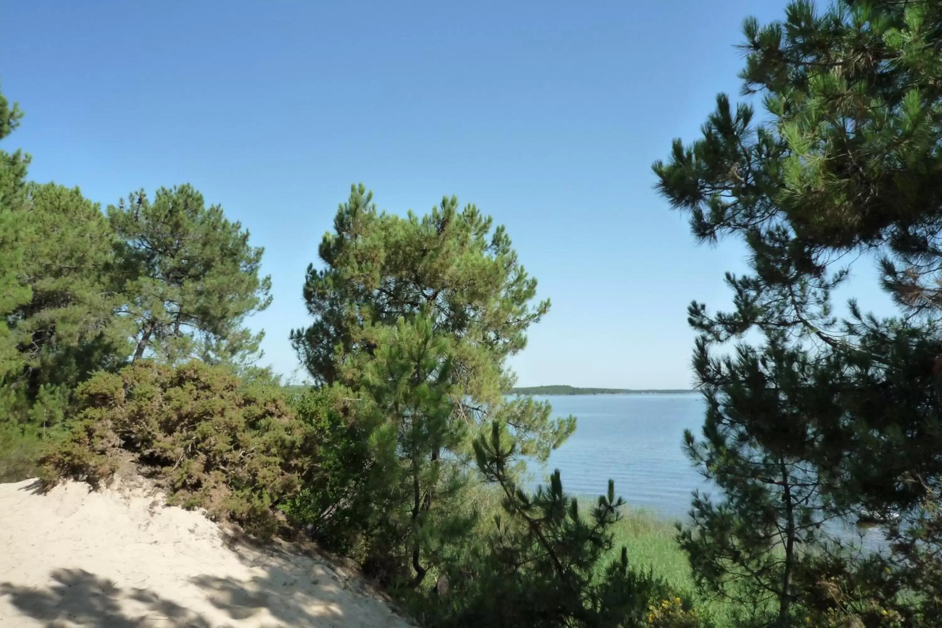 Natural landscape in Un Matin D’été