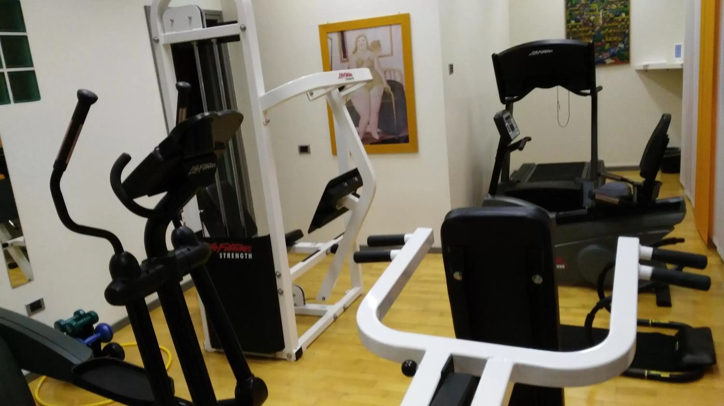 Fitness centre/facilities, Fitness Center/Facilities in MiHotel