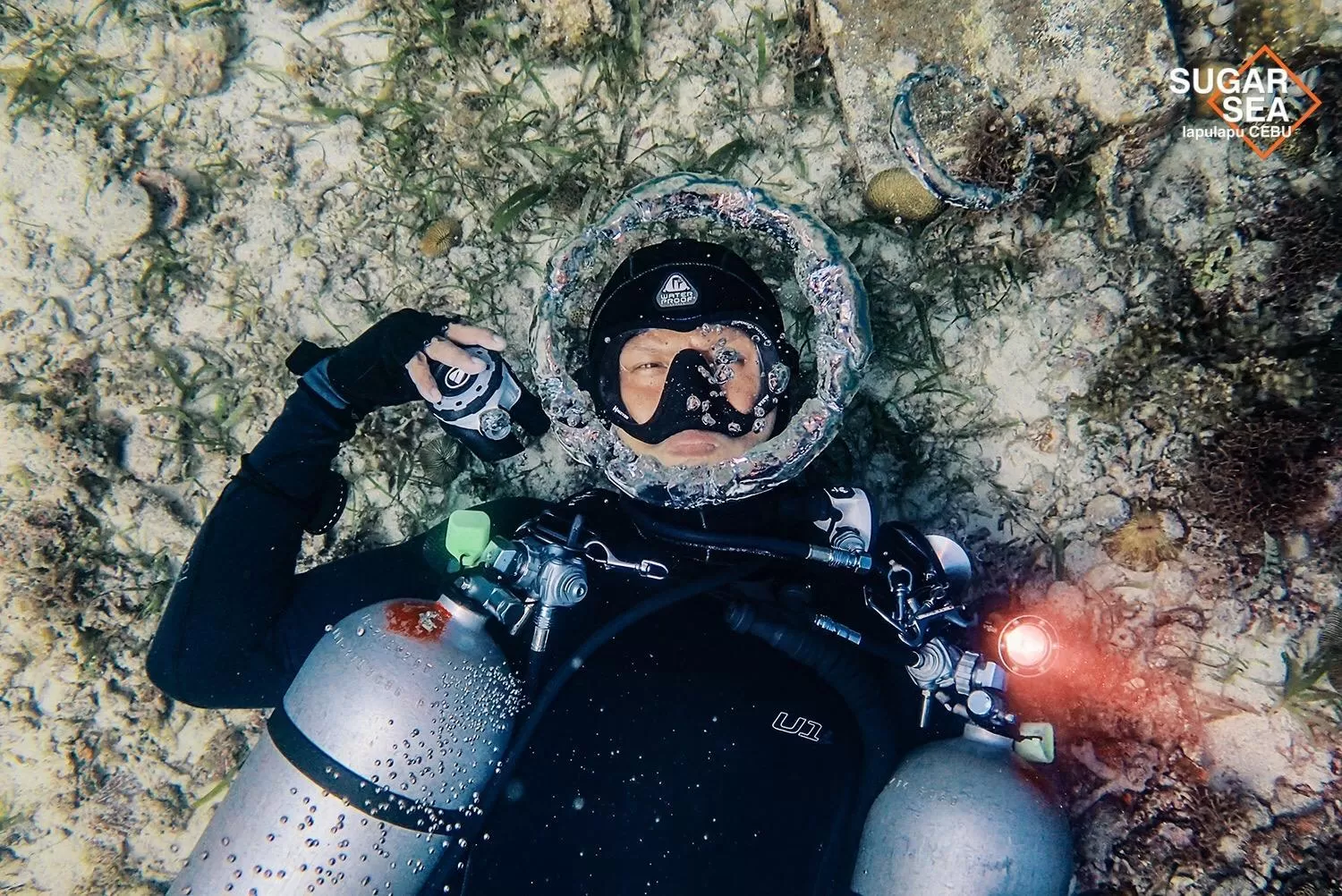 Diving in Sugarsea Inn & Dive shop