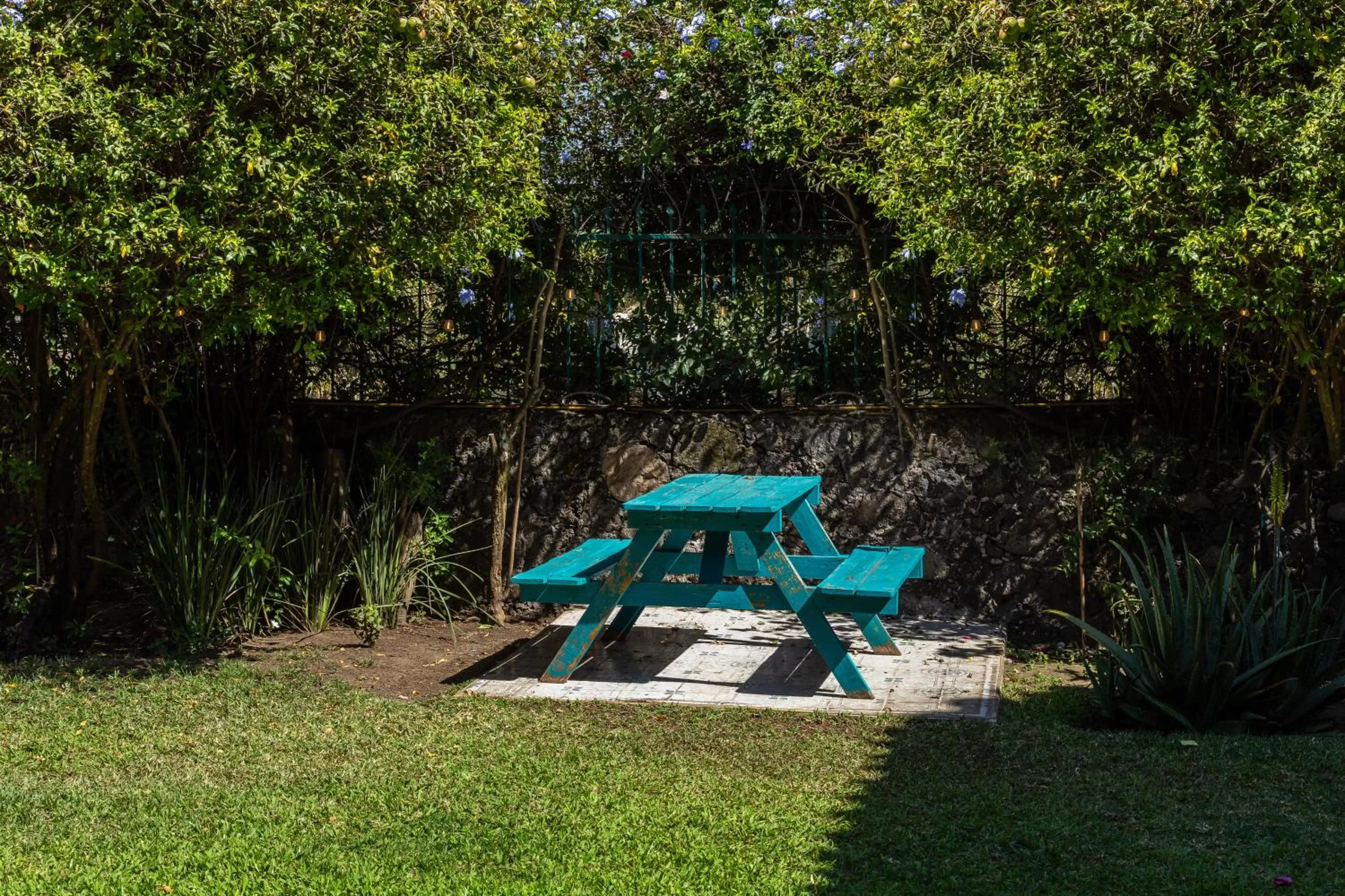 Garden view in Colibrí Turquesa