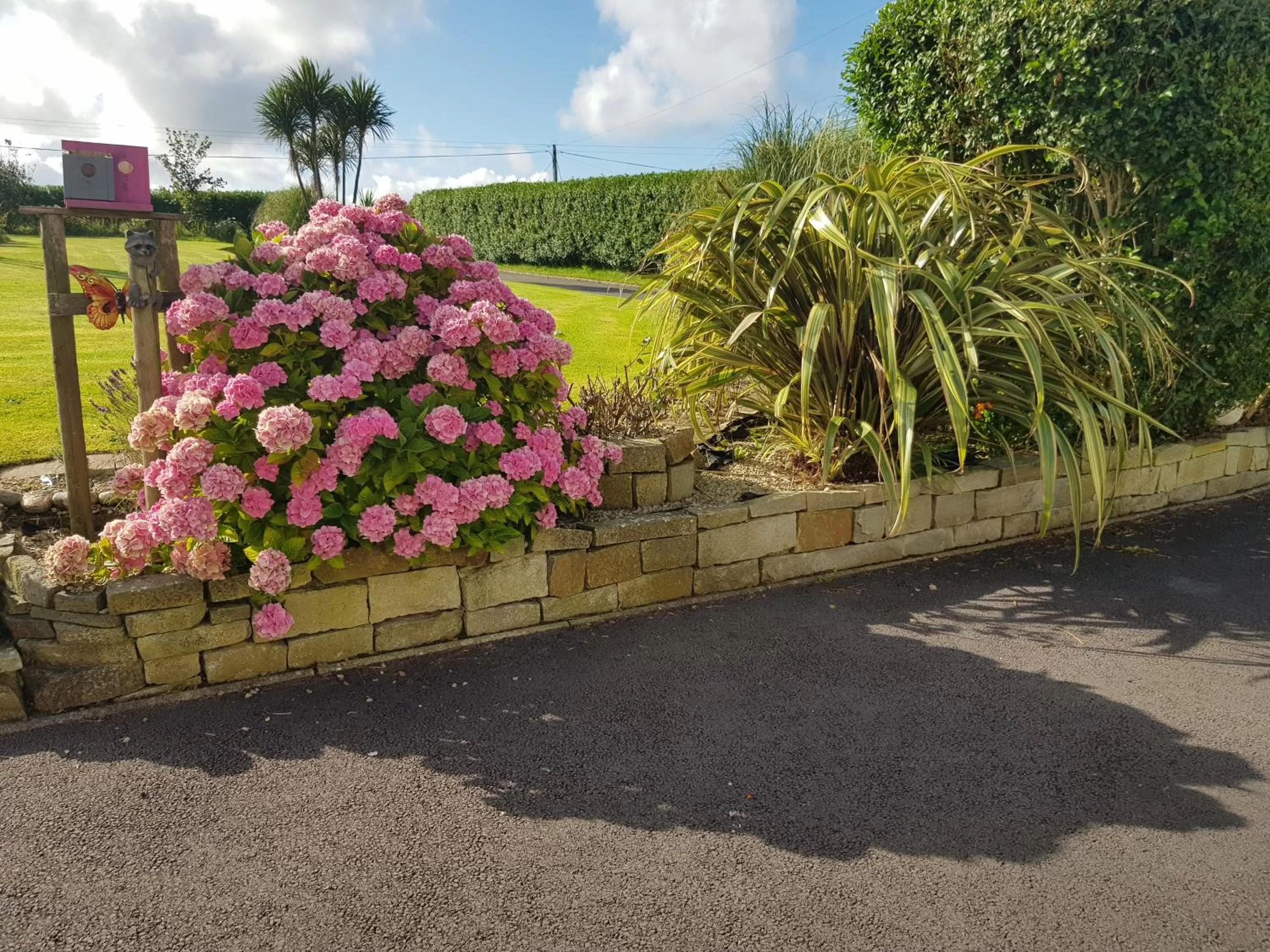 Property Building in Sunrise view