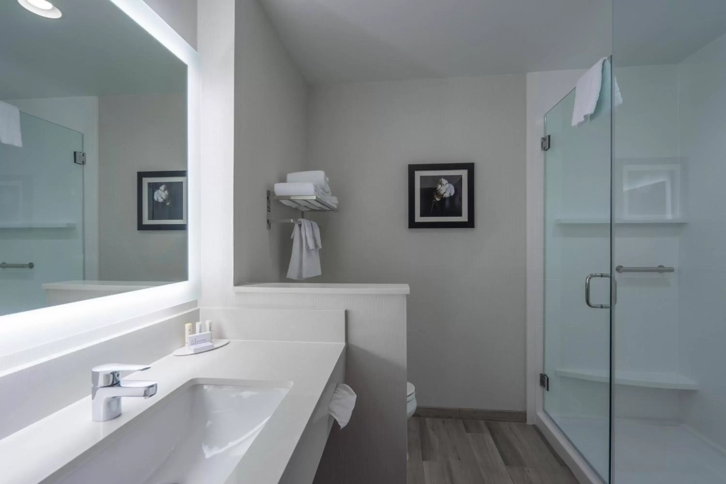 Bathroom in Fairfield Inn & Suites by Marriott Lubbock Southwest
