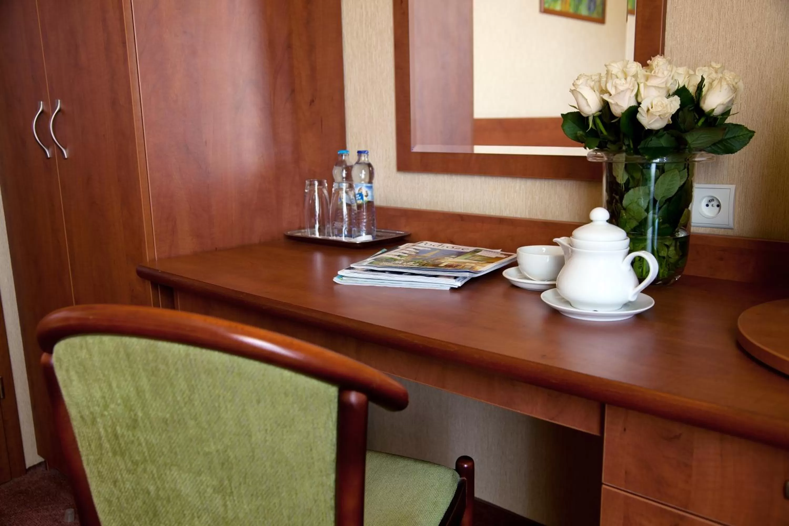 Single Room in Hotel Rezydencja Solei