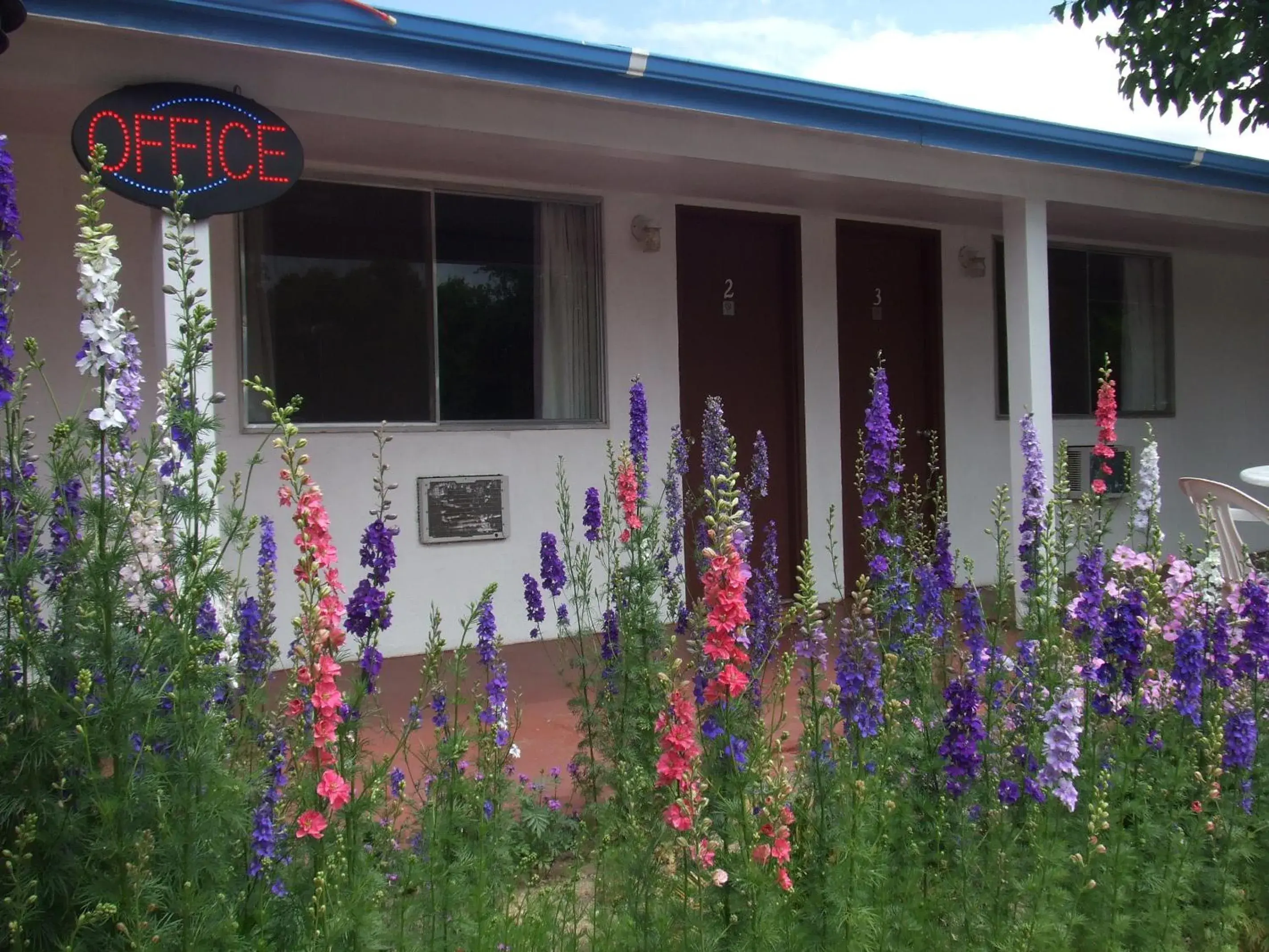 Mount-N-Lake Motel