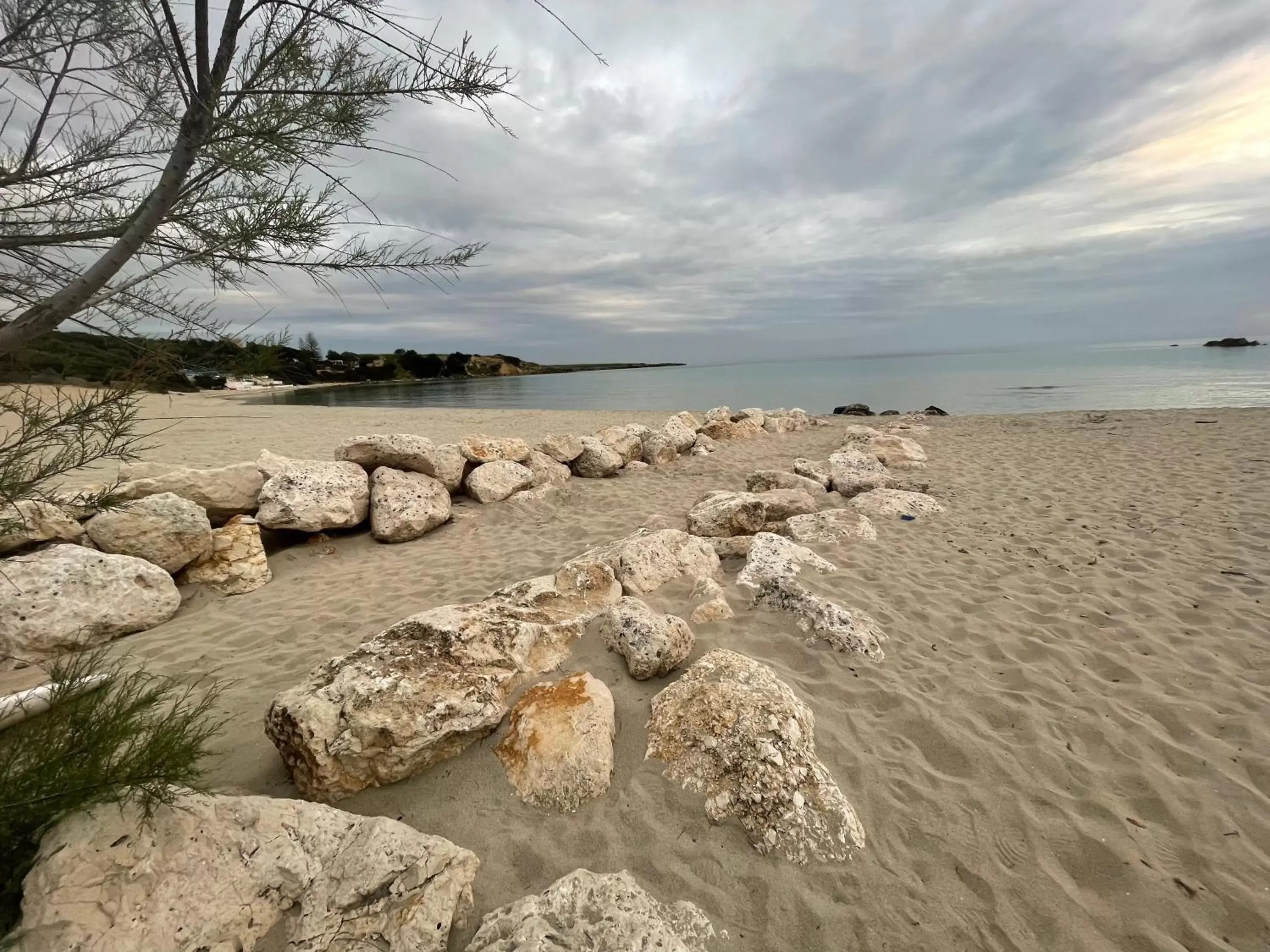 Beach in The Garden