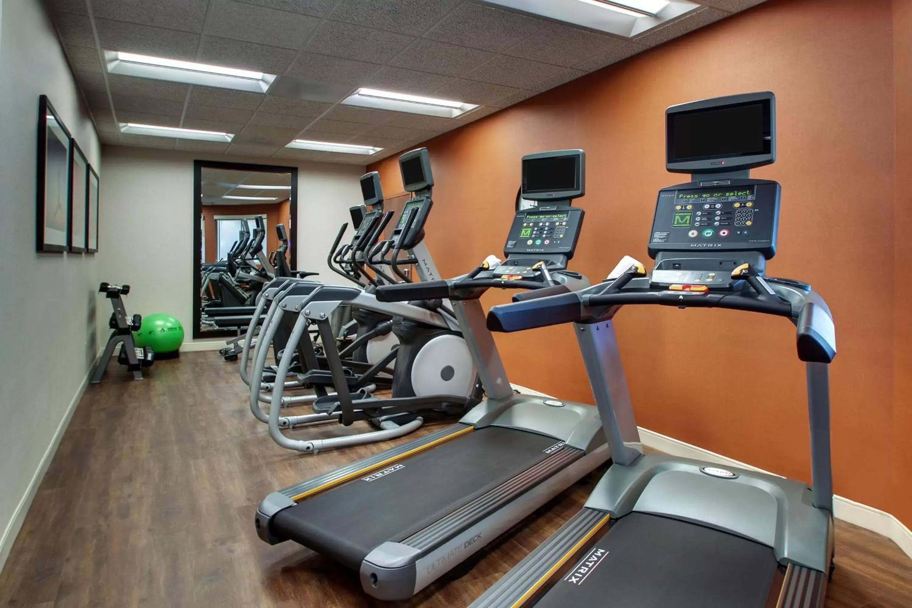 Activities, Fitness Center/Facilities in Drury Inn & Suites Iowa City Coralville