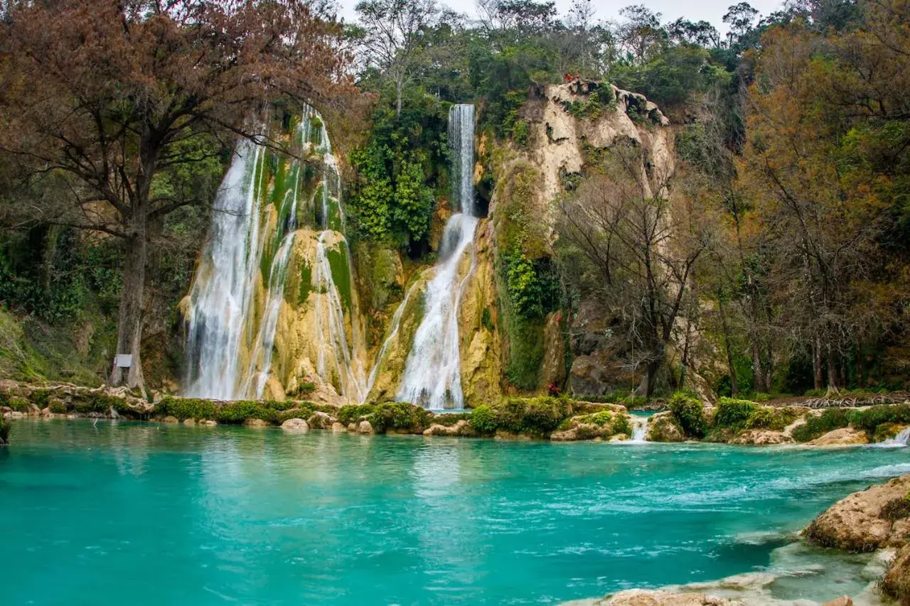 Natural Landscape in Hotel Riviera