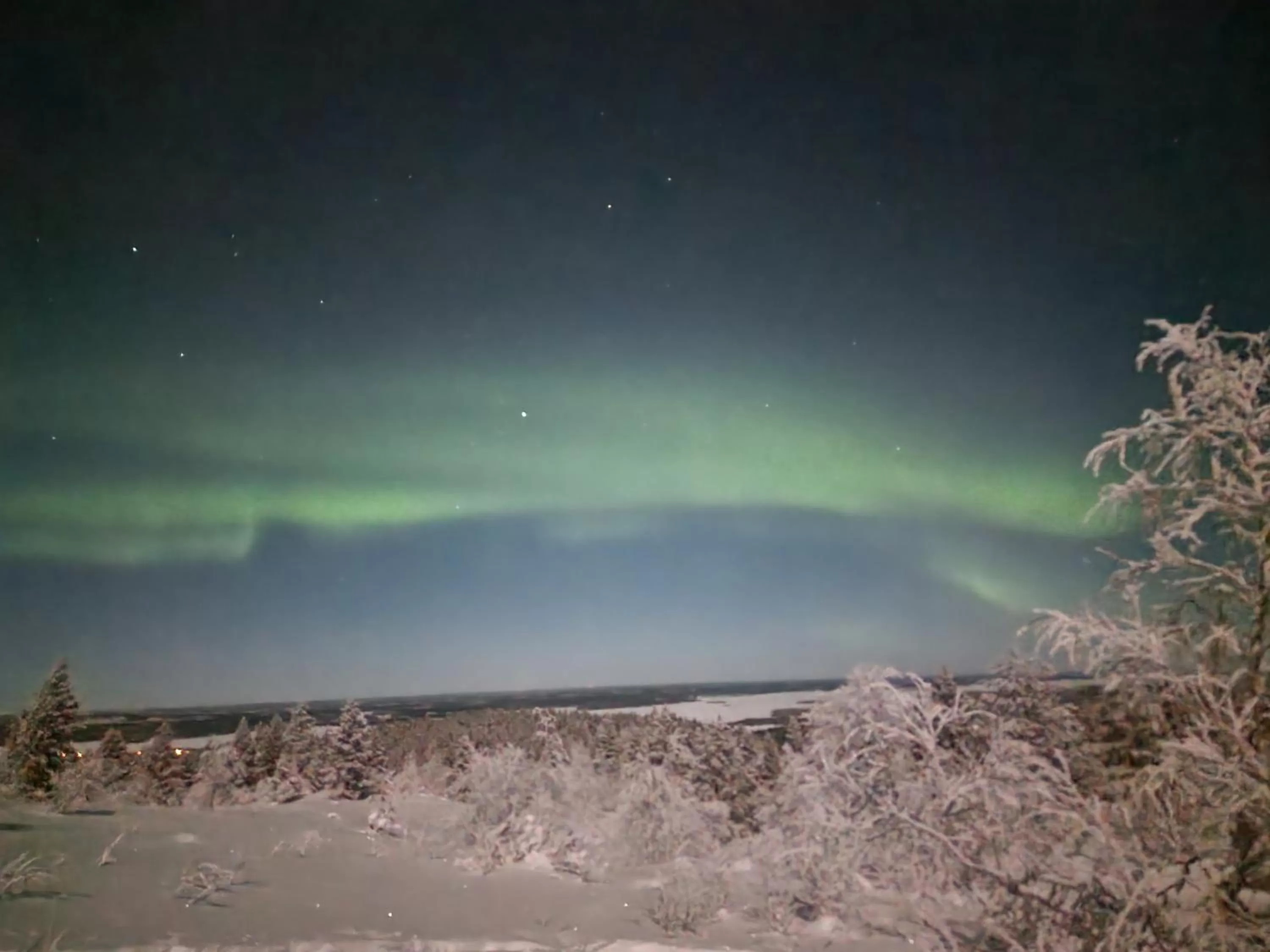 Natural landscape in Kultahippu Hotel & Apartments