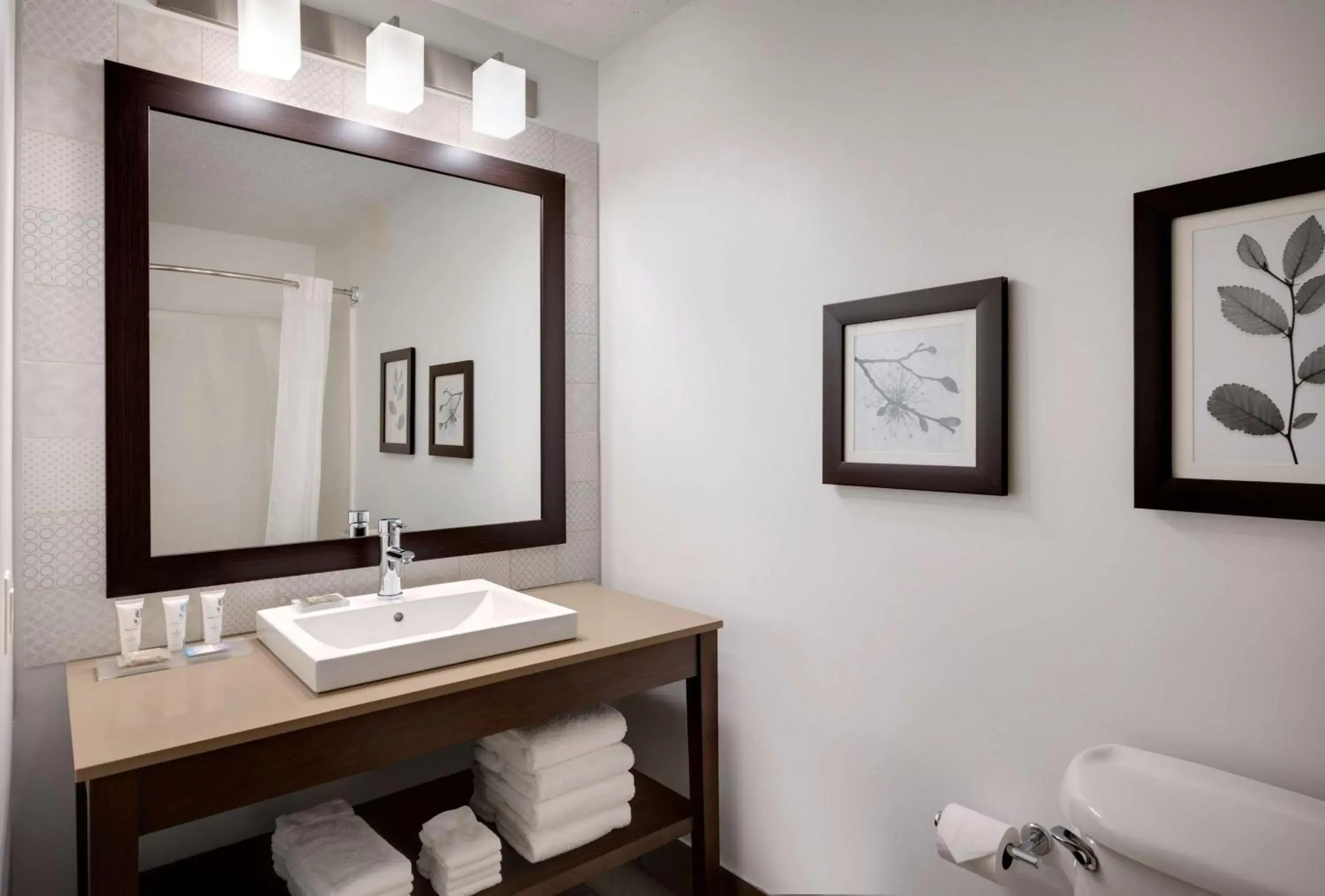 Bathroom in Country Inn & Suites by Radisson, Albertville, MN