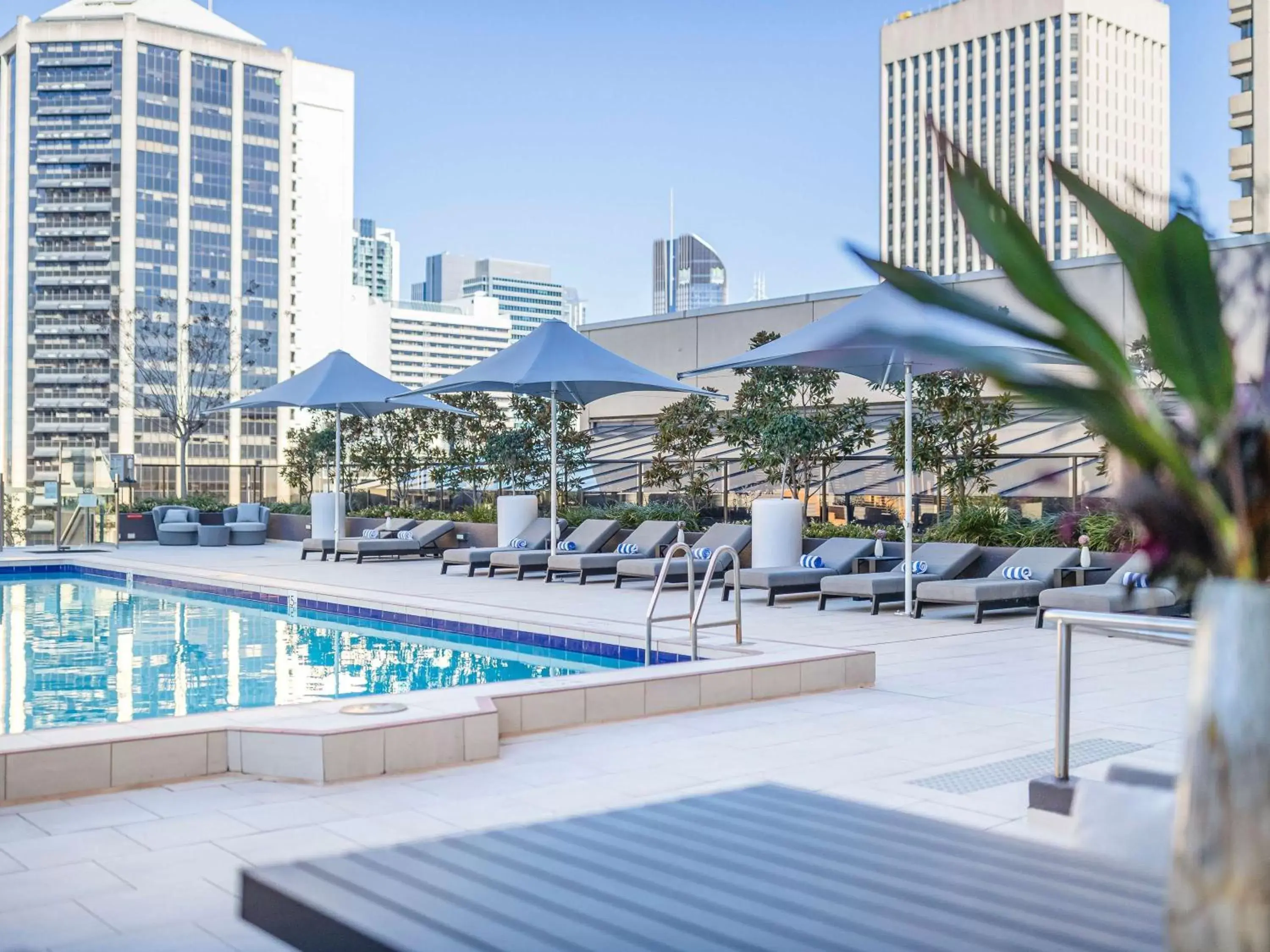 Pool view, Swimming Pool in Sofitel Brisbane Central