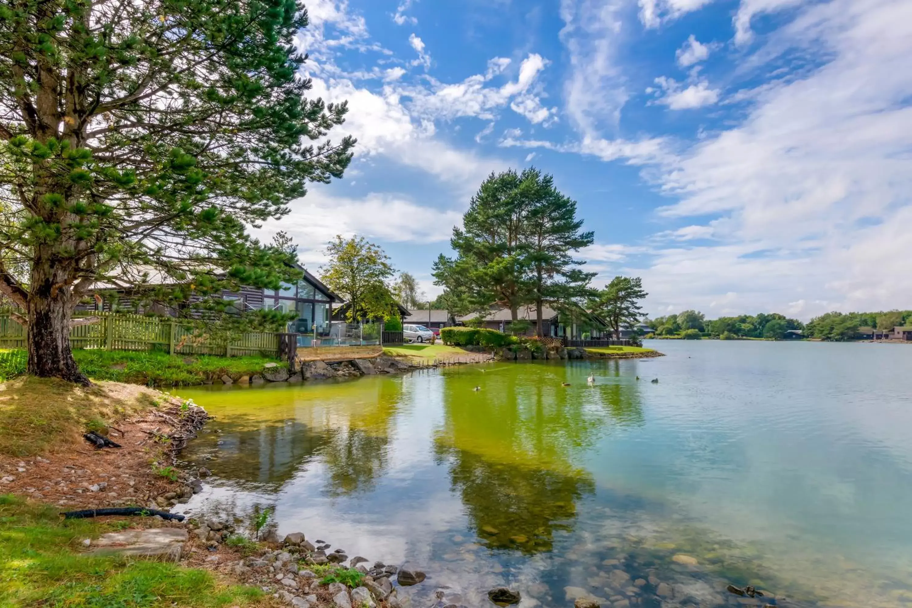 Lake view in Pine Lake Resort