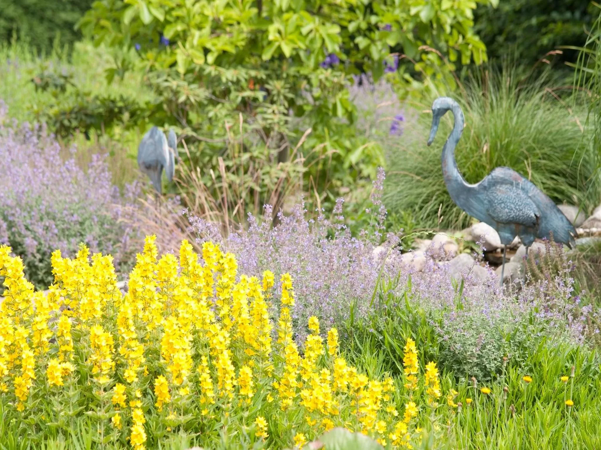 Garden in Parkhotel Bilm im Glück am Stadtrand Hannovers